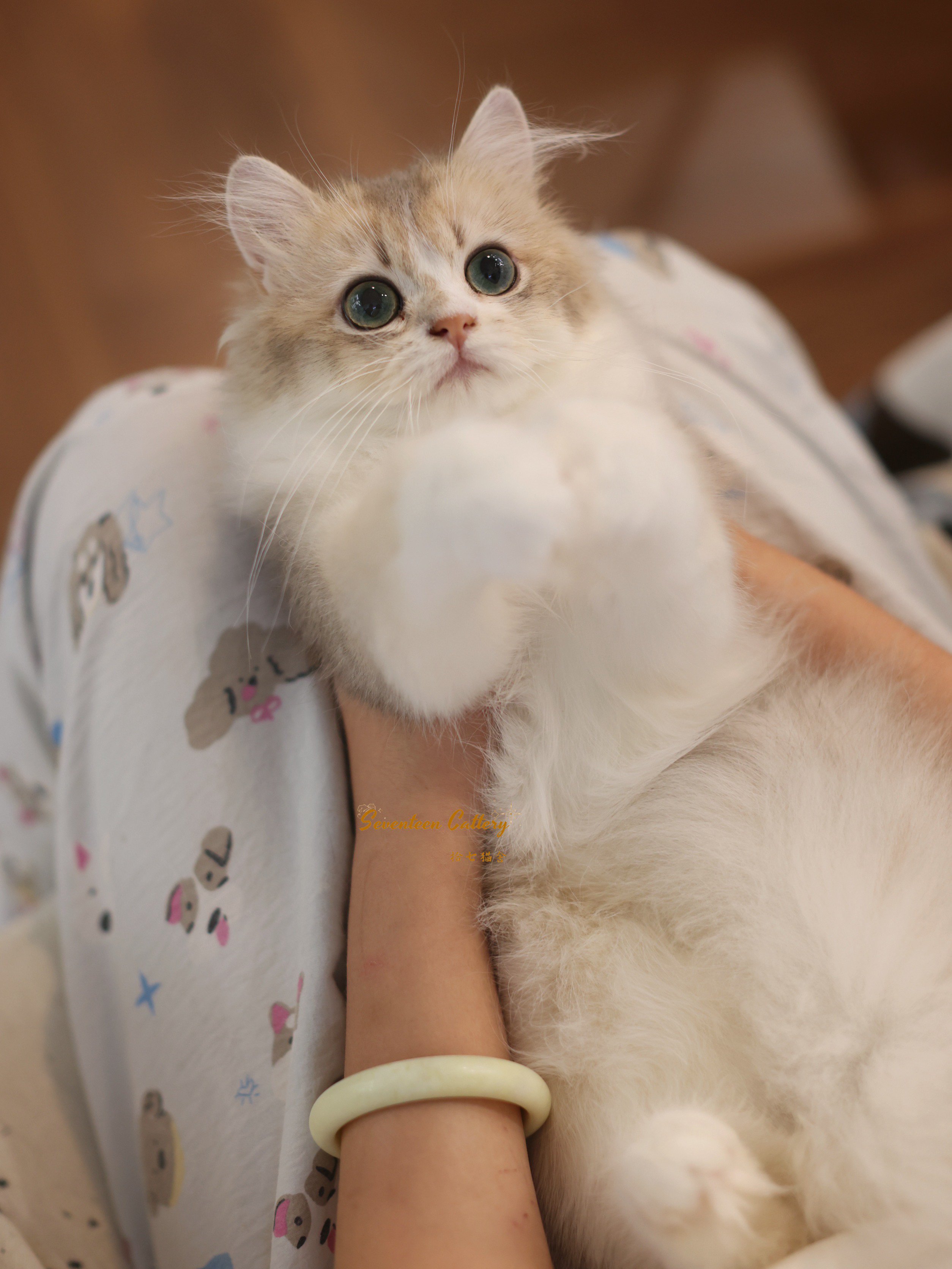 小开 5