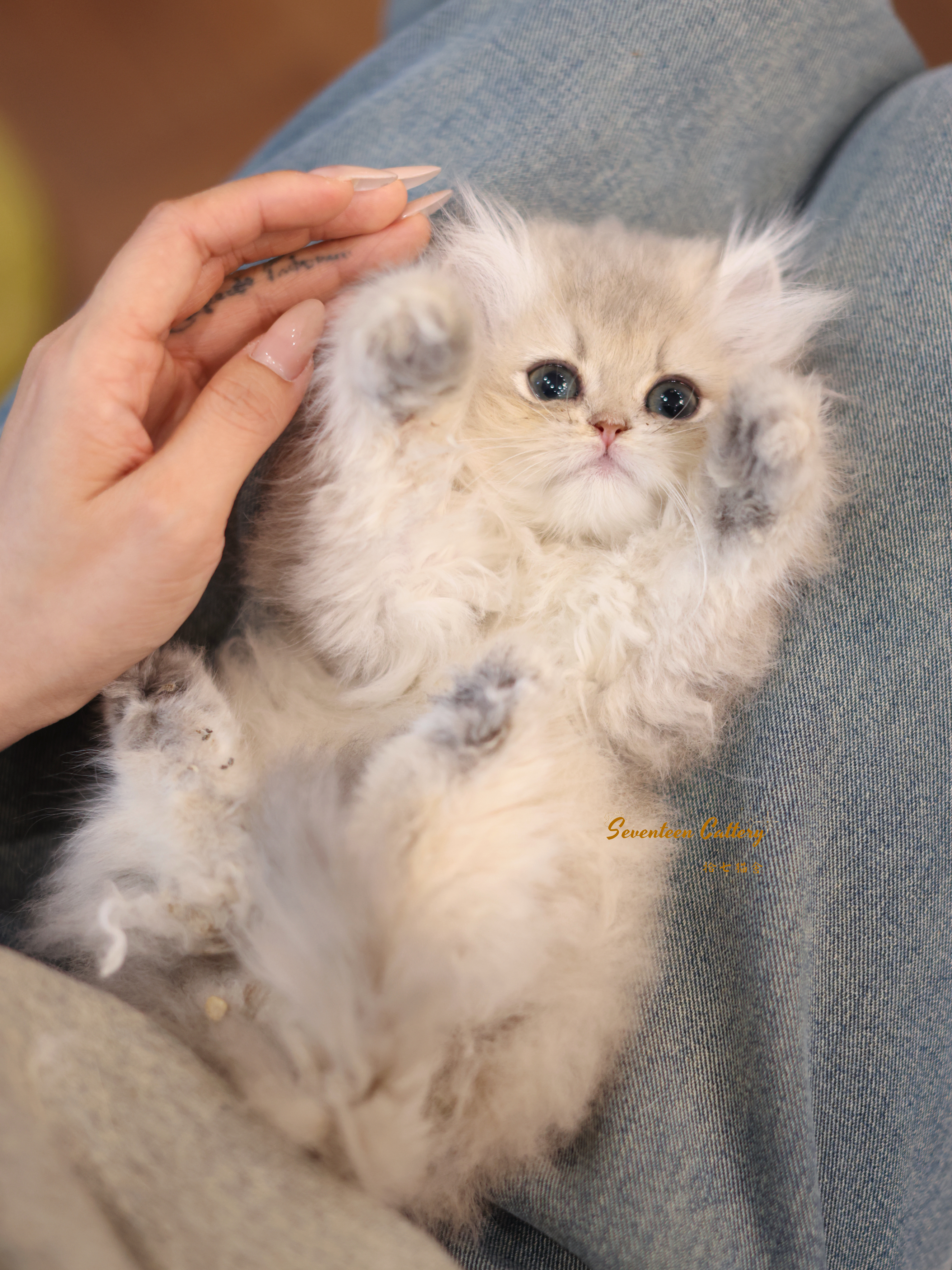 拐子