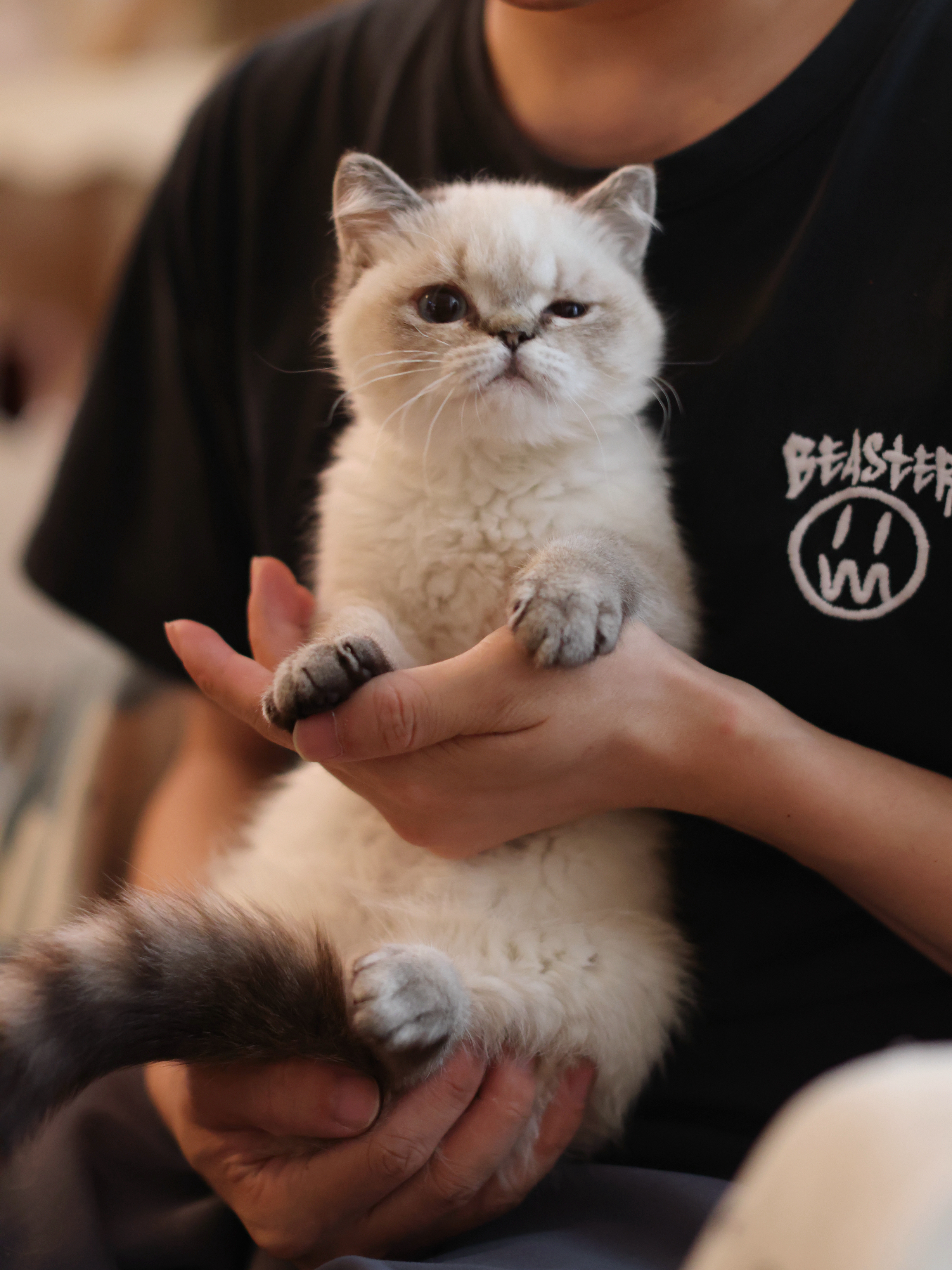 脏抹布 5