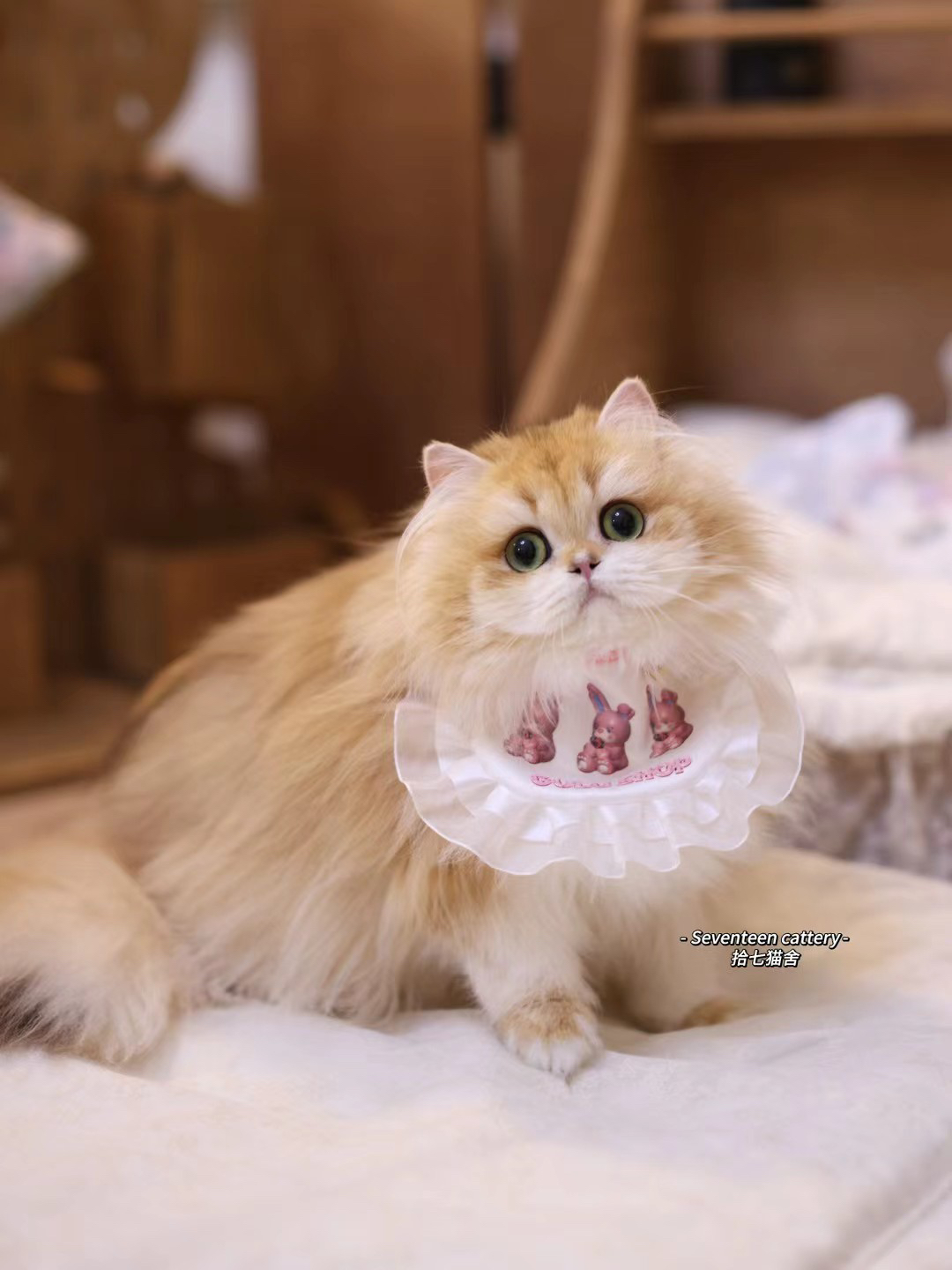 牙牙