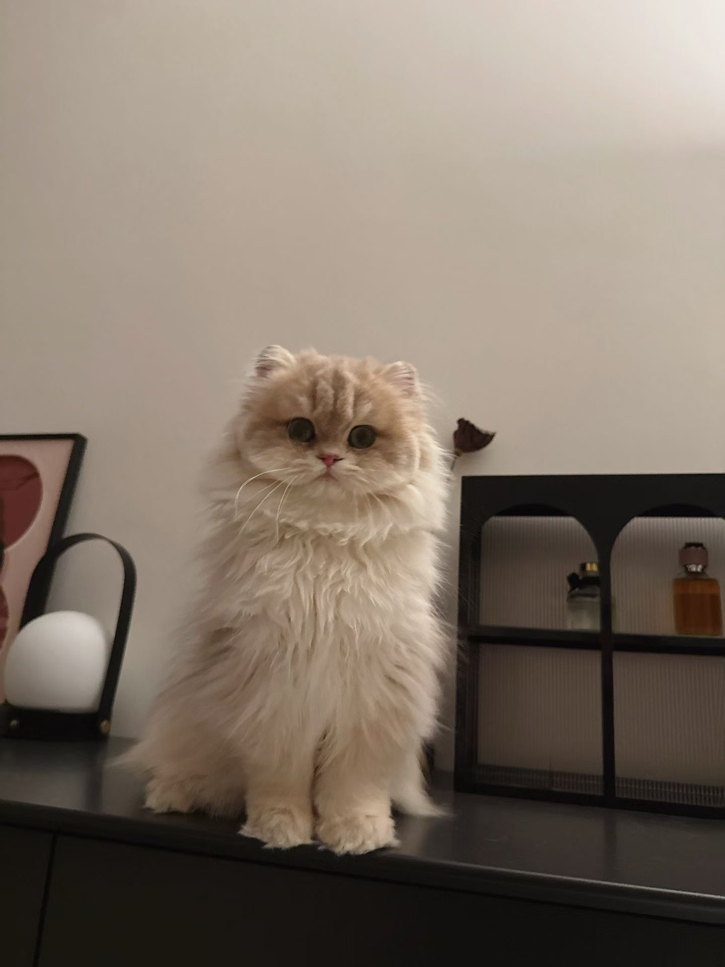 蓝泽 照片 2