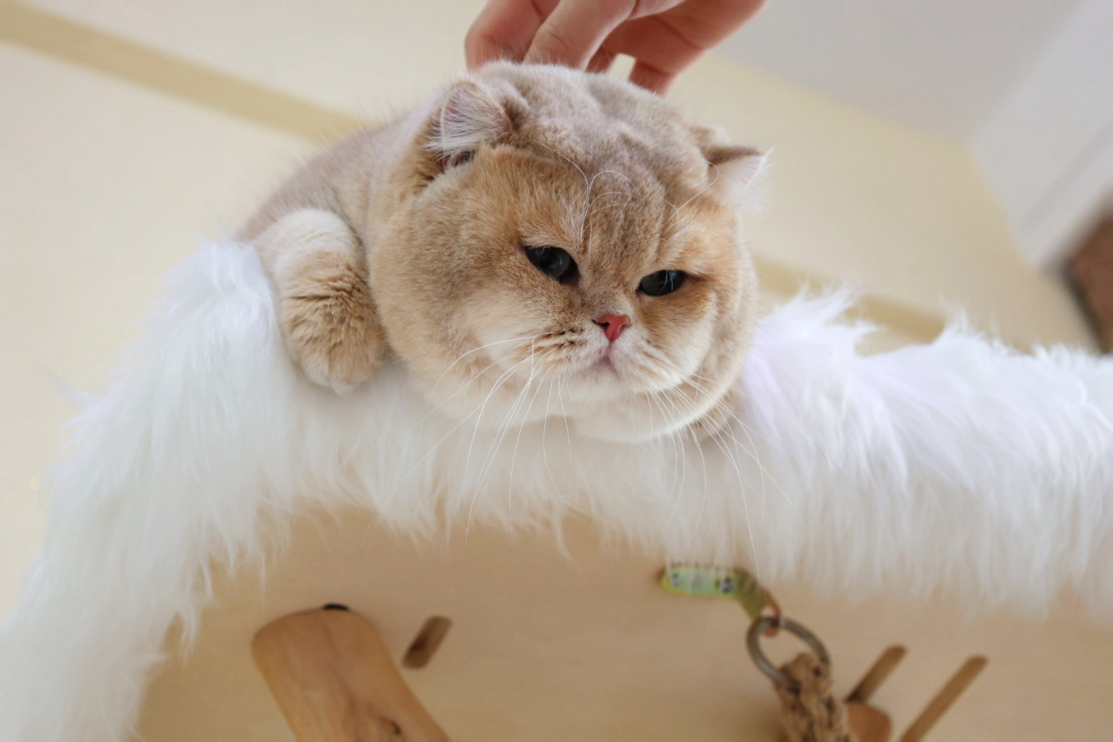 板凳