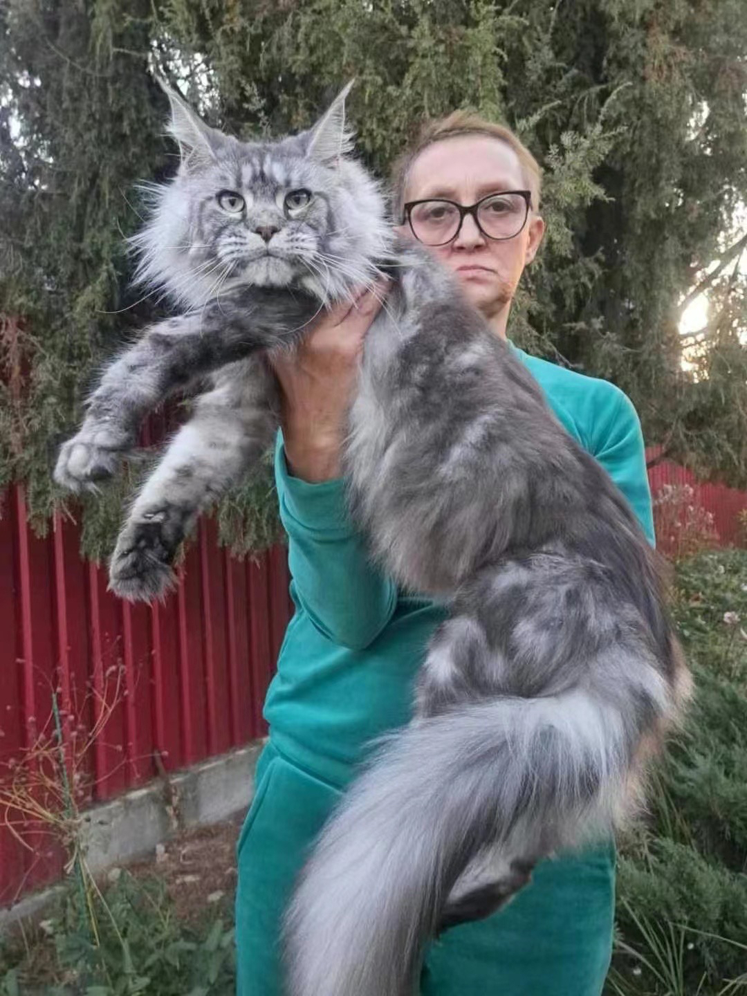 Tina