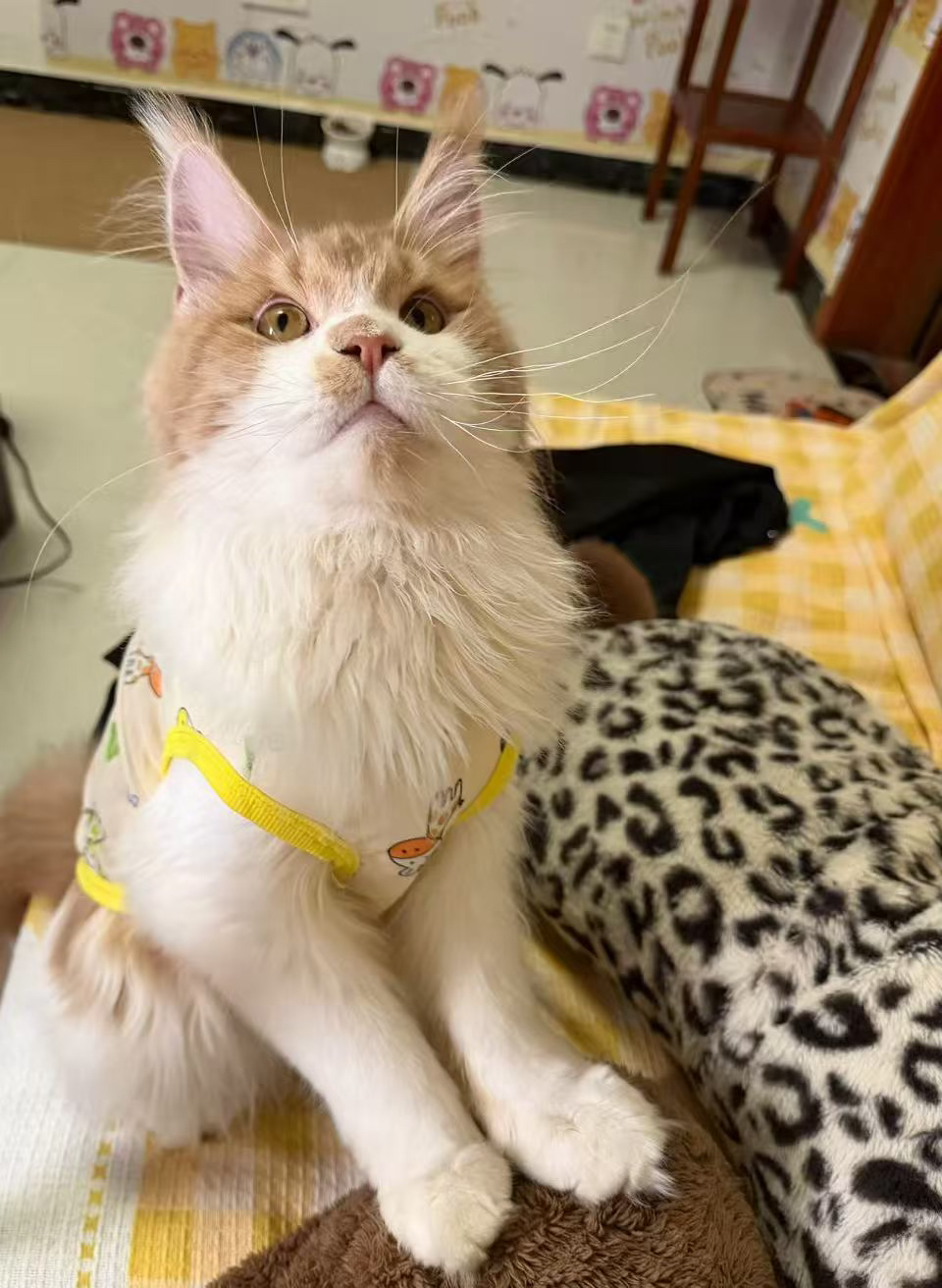 点点 2