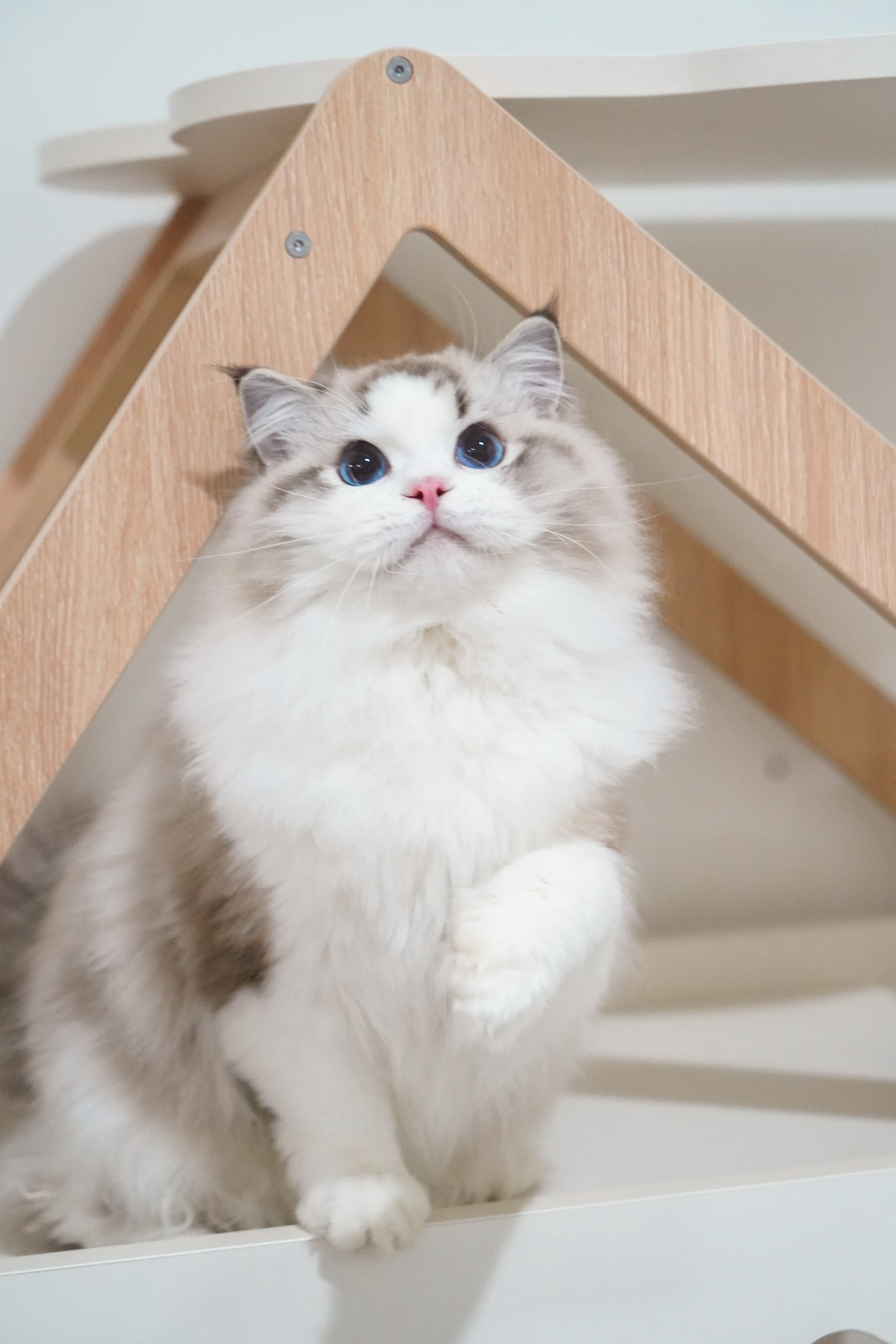 熊熊