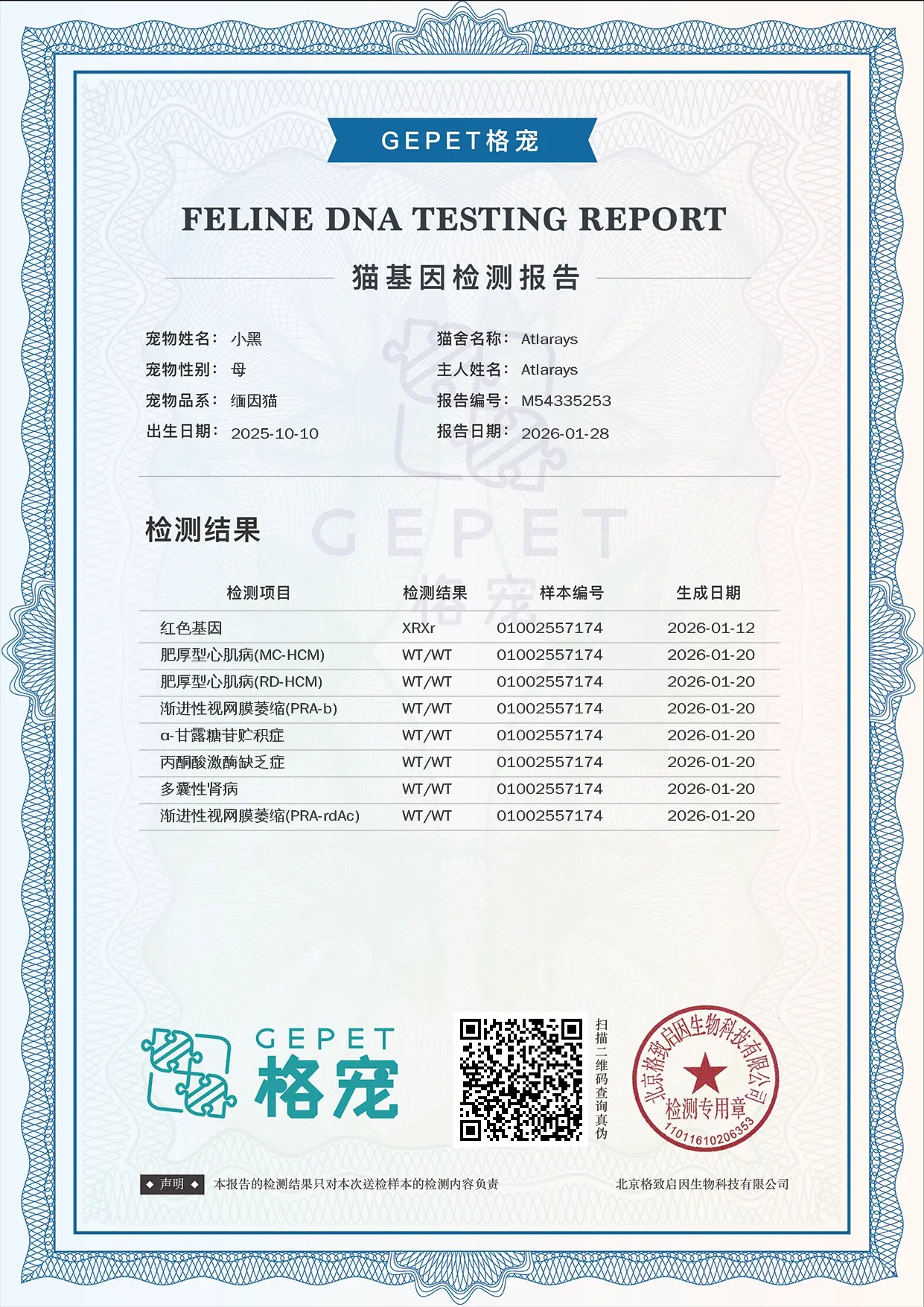 黑烟玳瑁 DNA 1