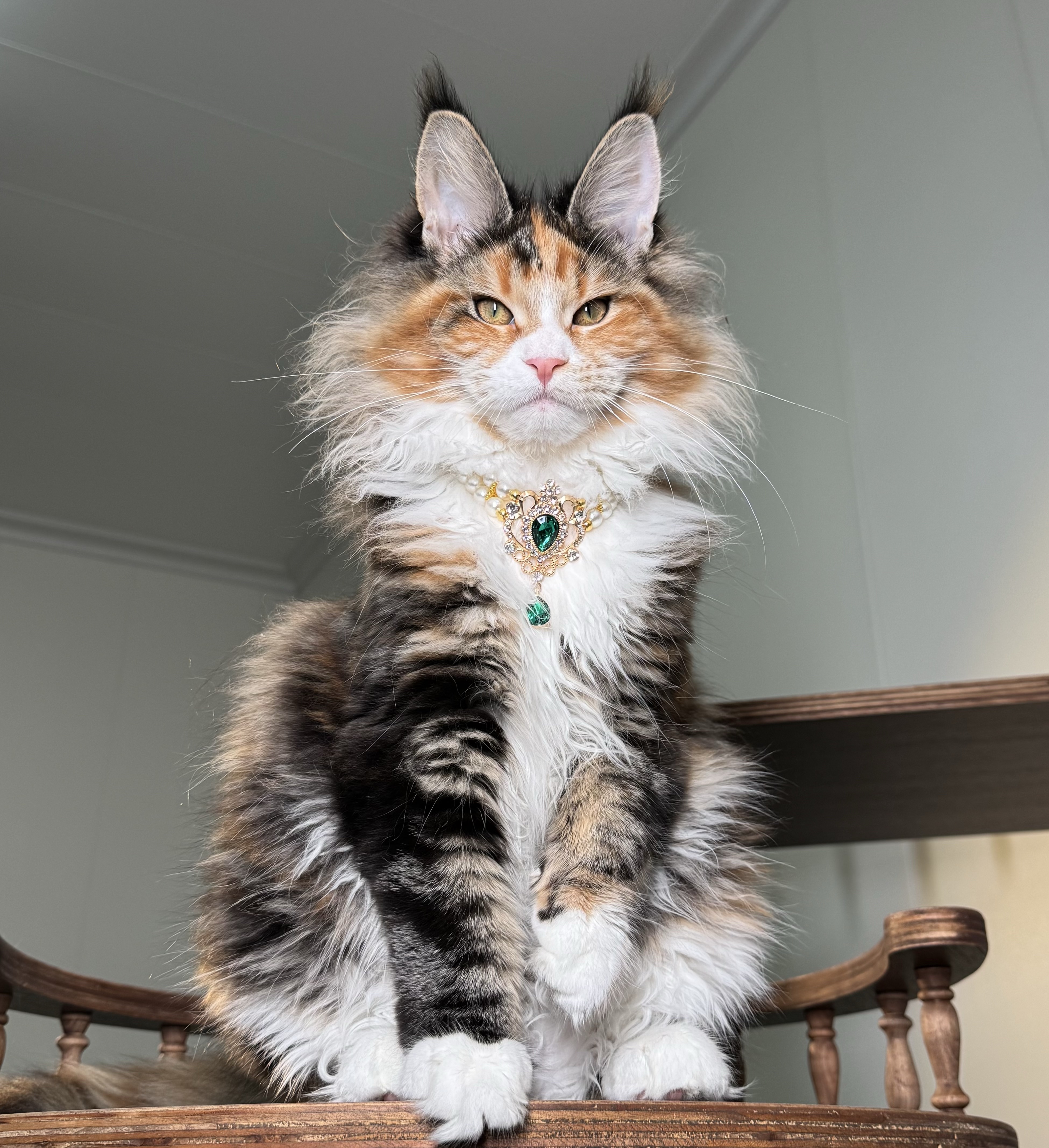 Mia