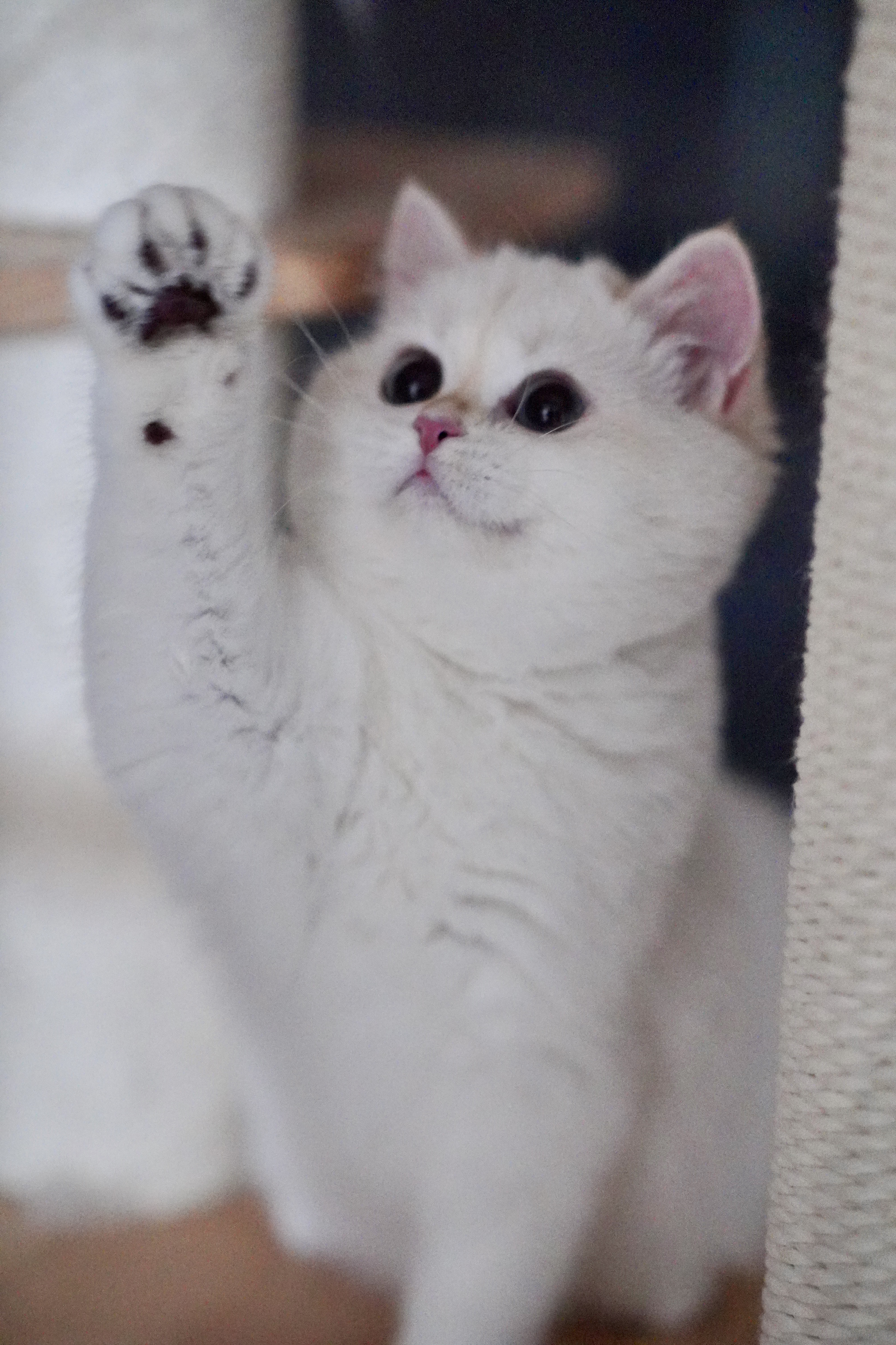 金来娣 2