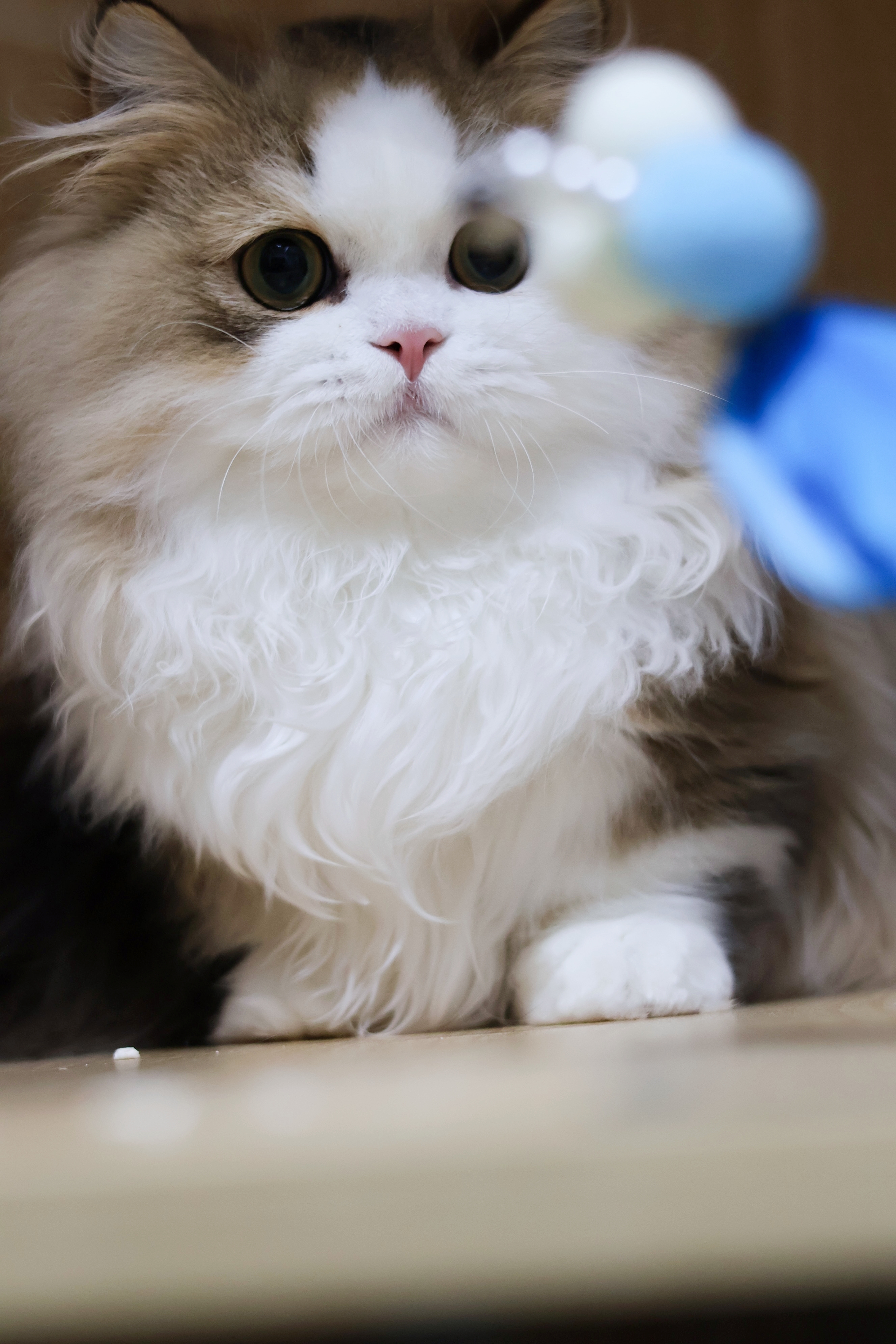 大柱子