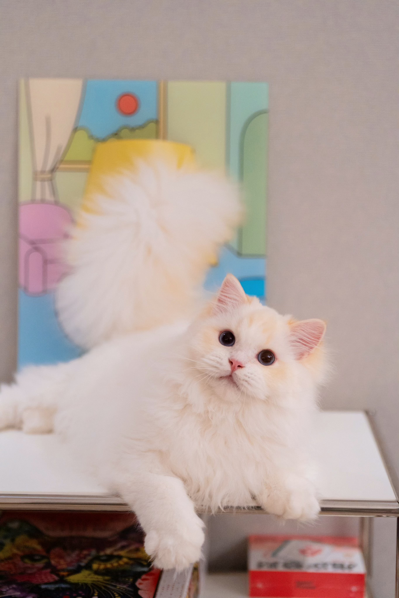 饼子