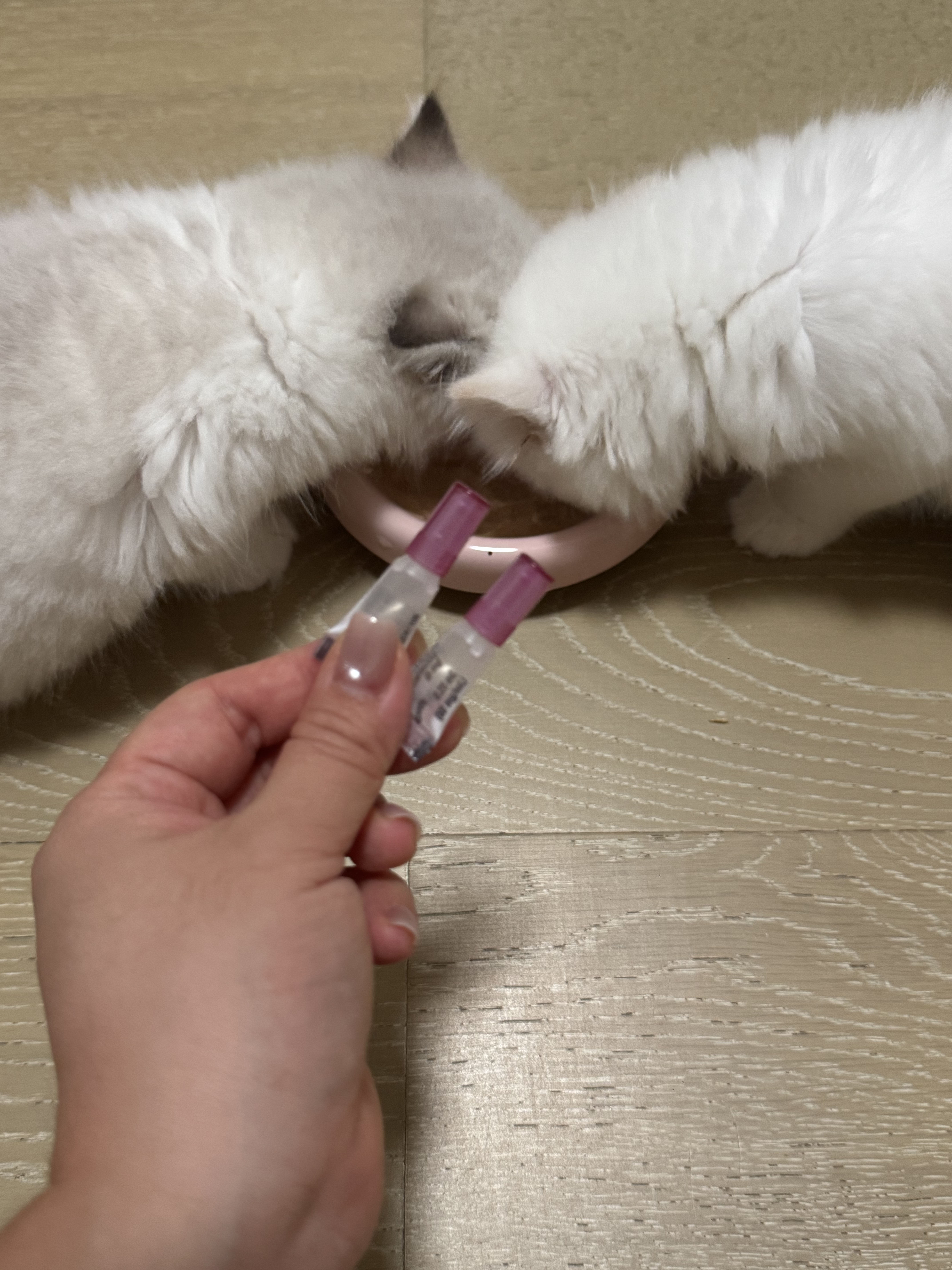 嘬嘬（玫粉）