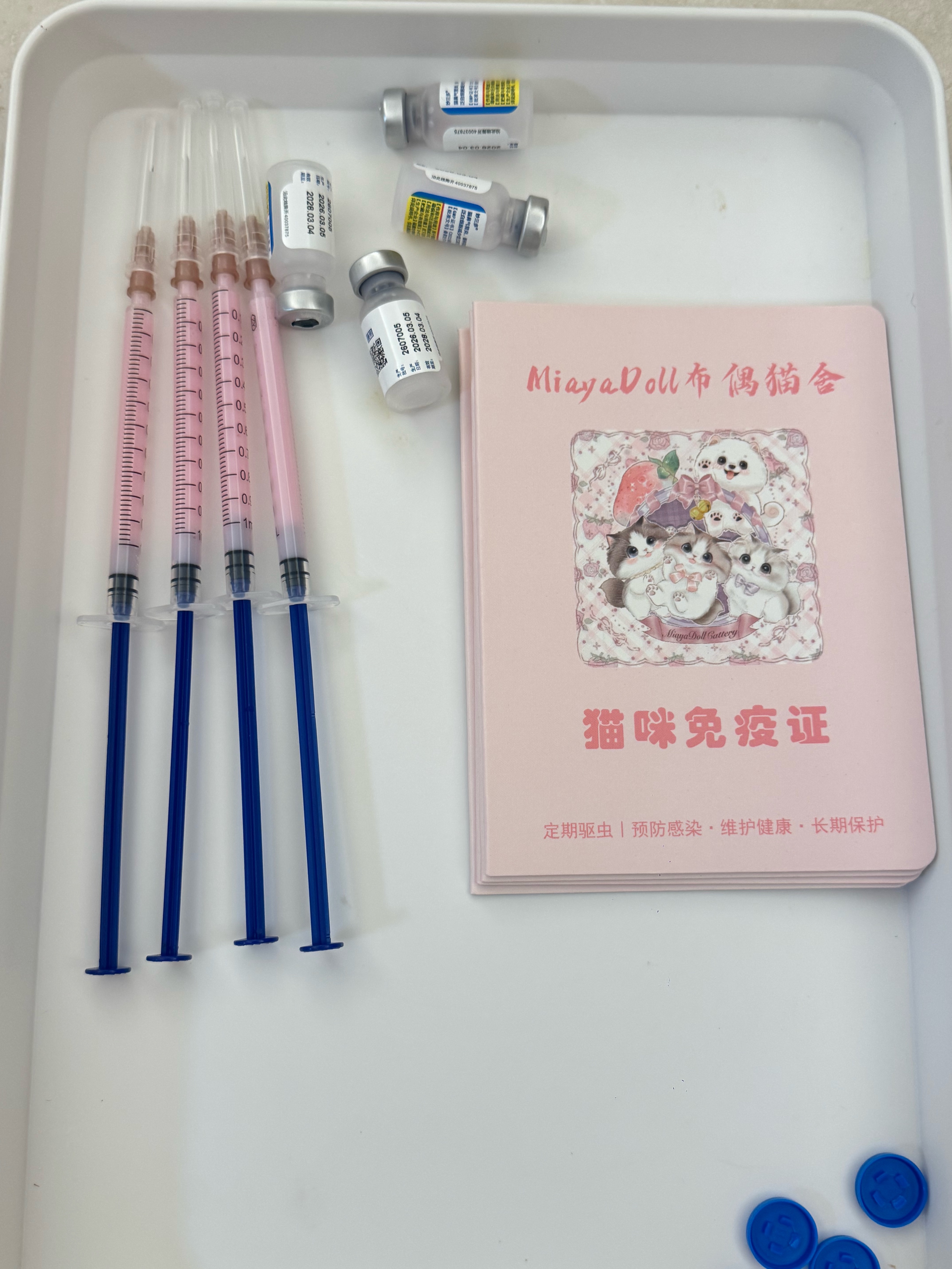 🍬糖包妹妹-MG·红