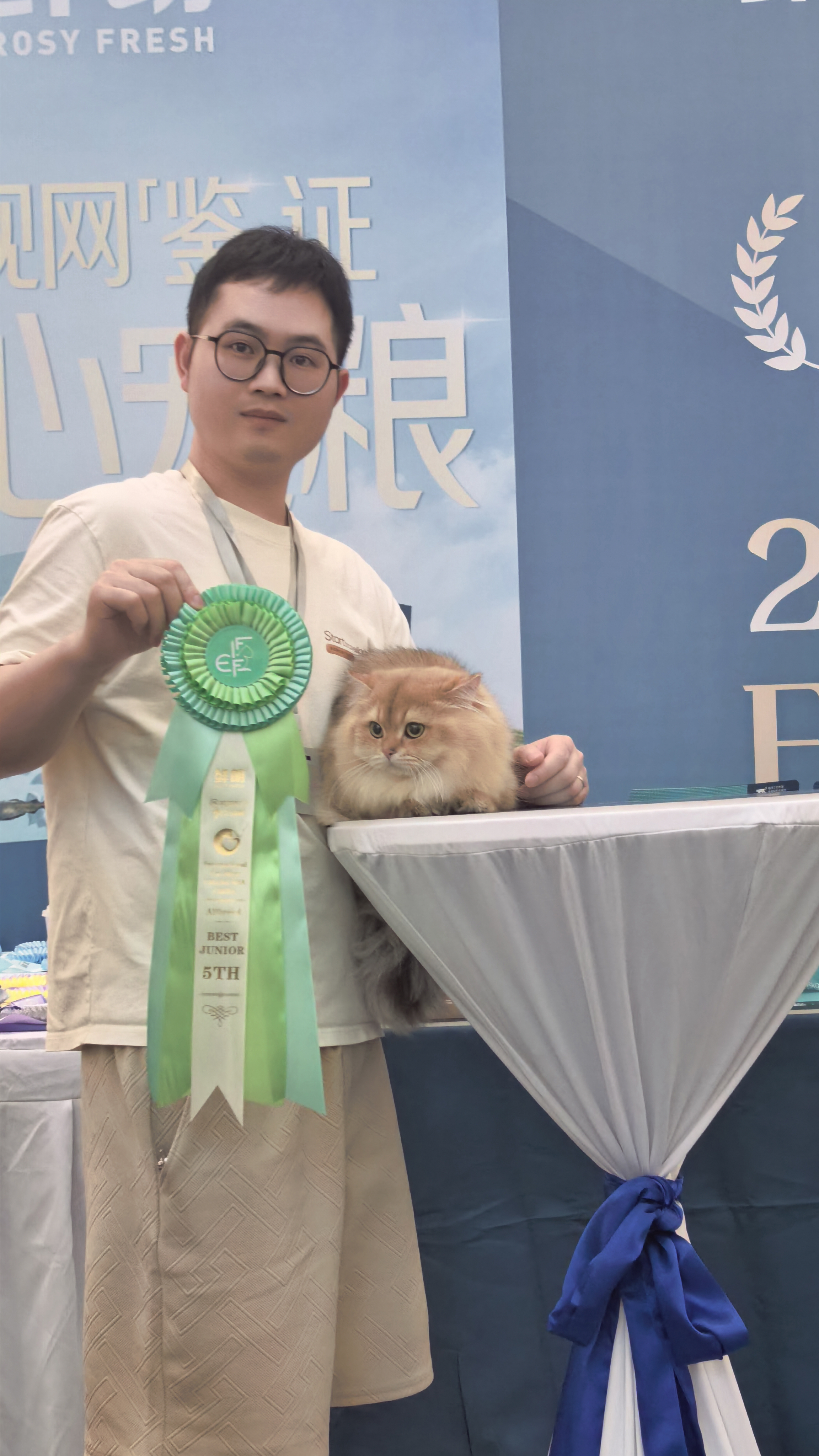 国际协会FIFE长沙站4.18 获得英国长毛猫青年组小组第一BIS、青年全品种环赛第5名