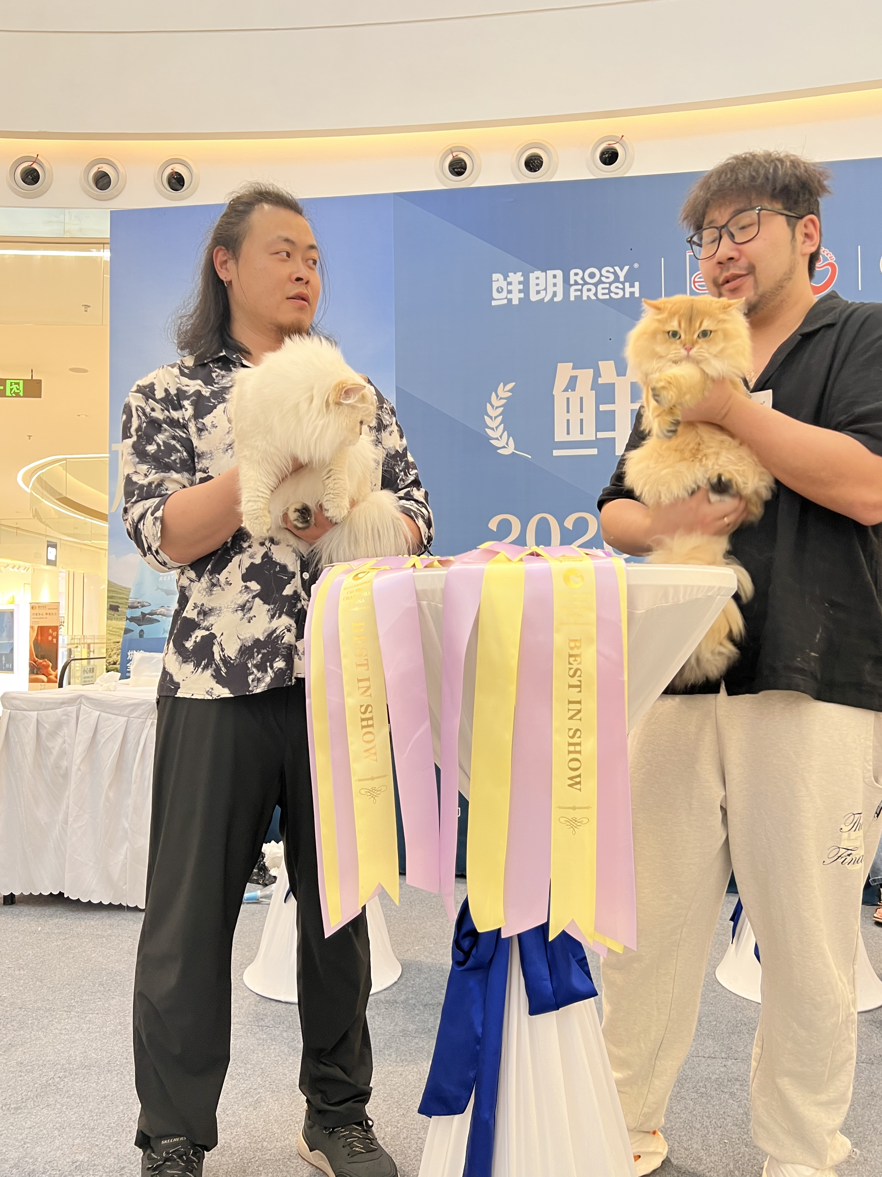 FIFE长沙站，两天全场最佳BIS