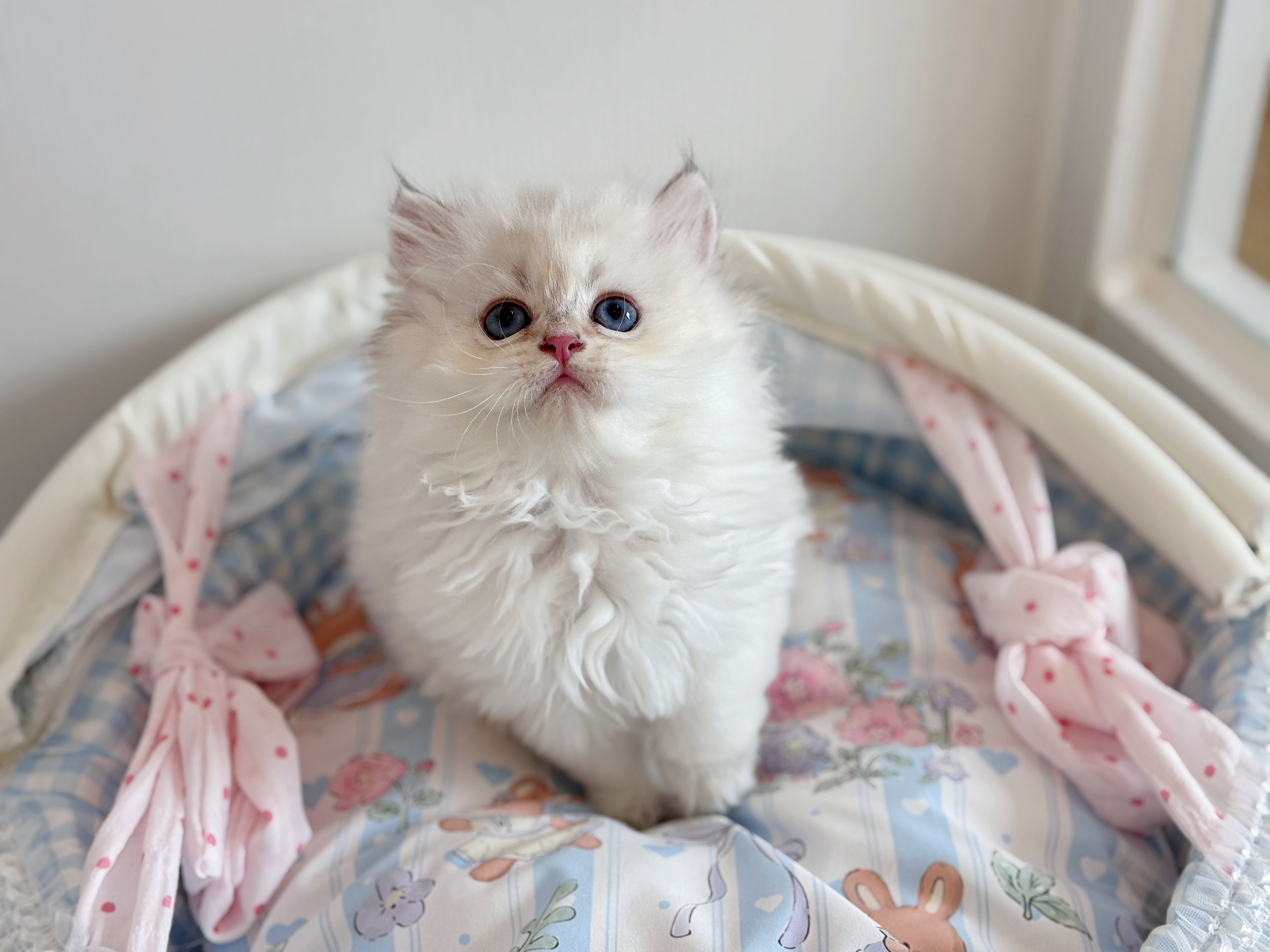 Otis小壮