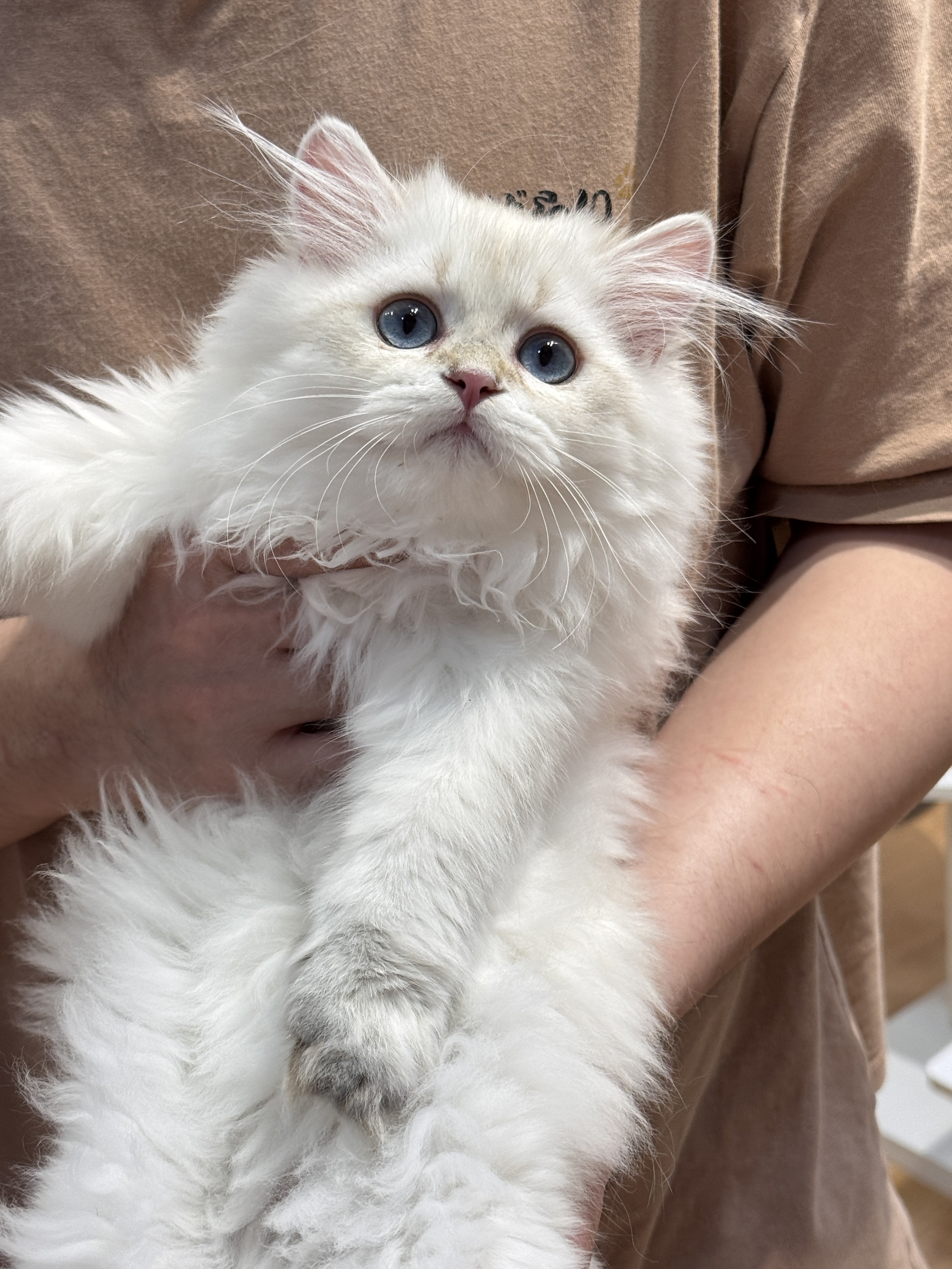 Otis小壮 3