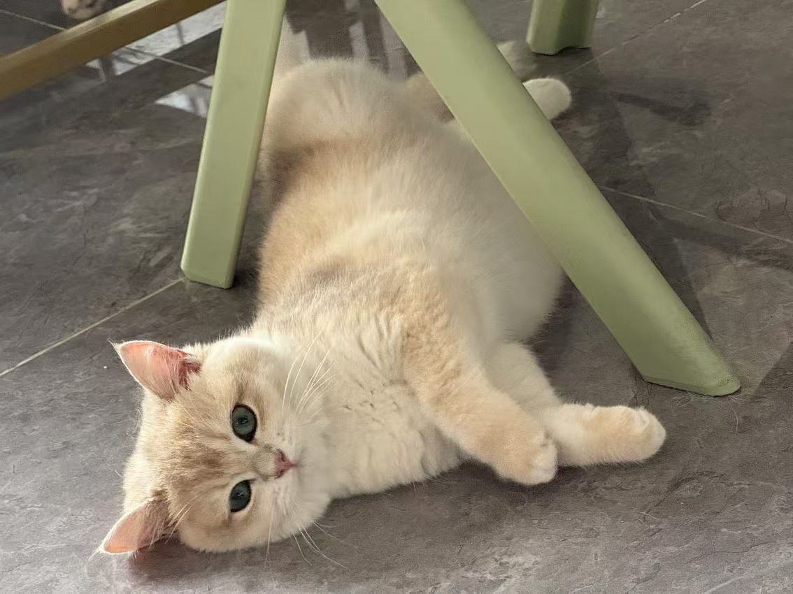小久