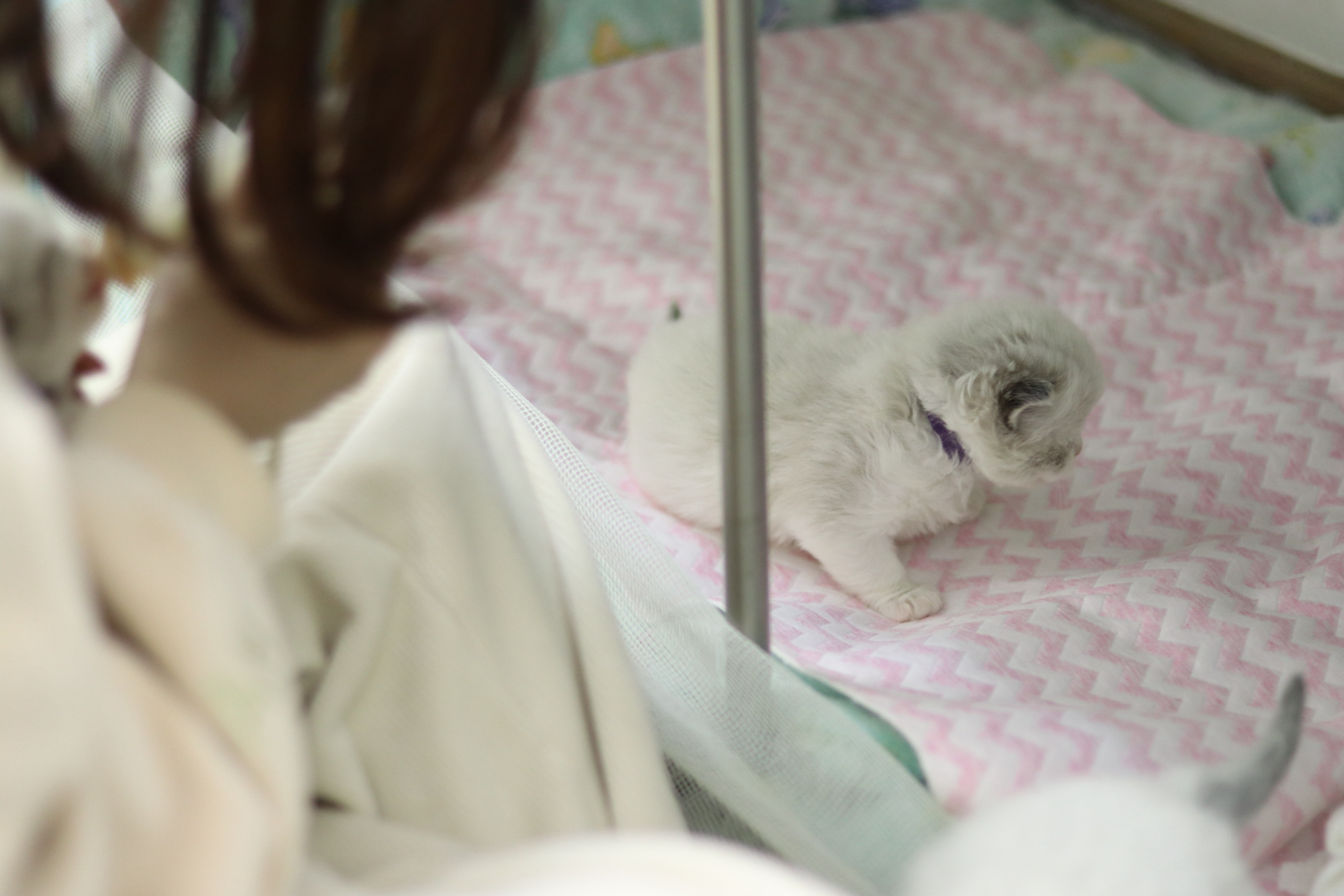 产房