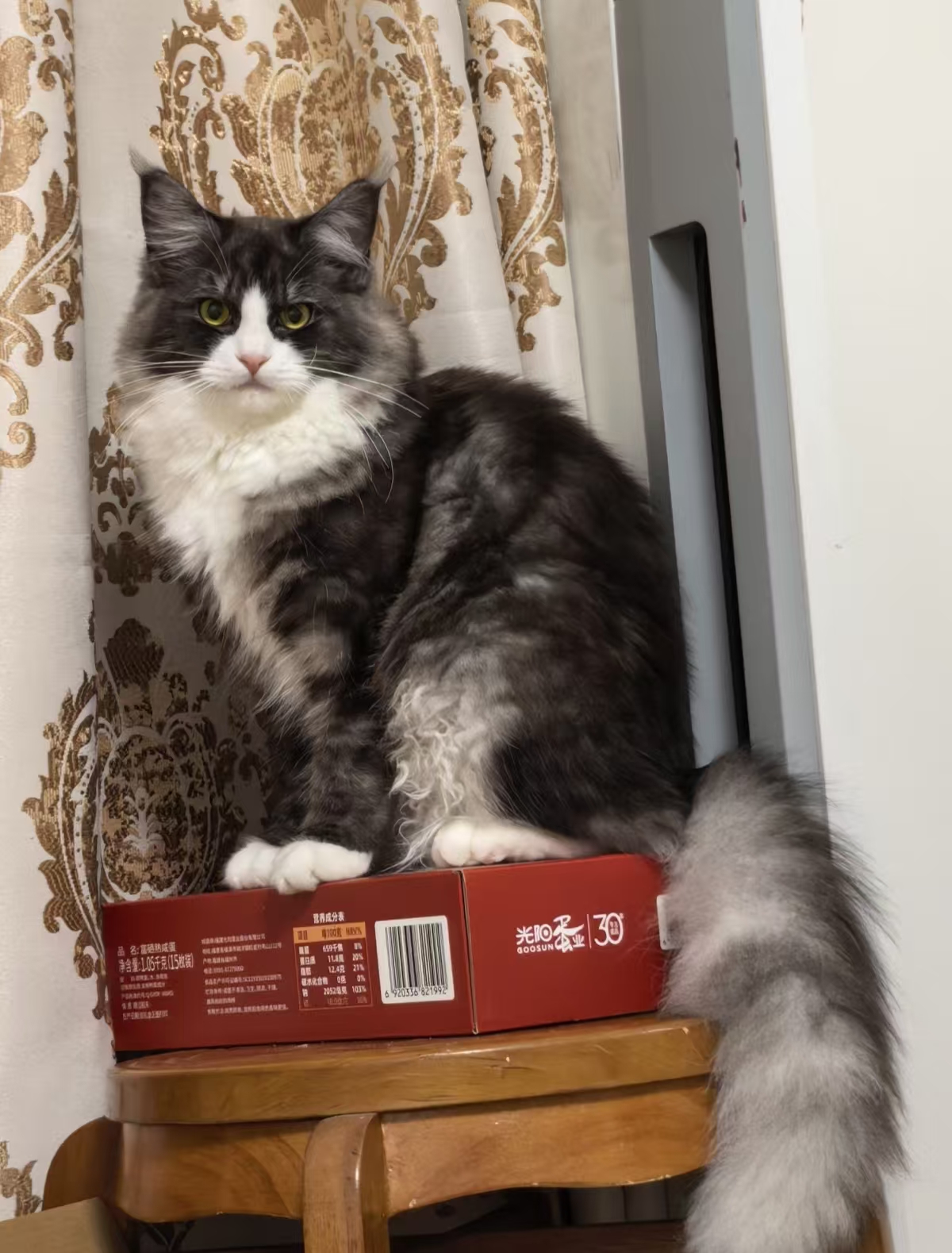葡萄