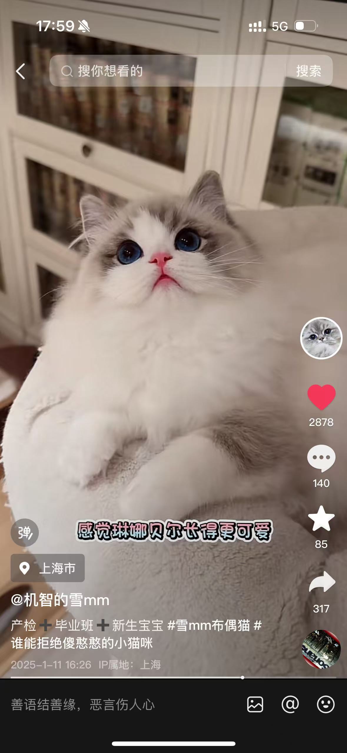 玲娜贝儿