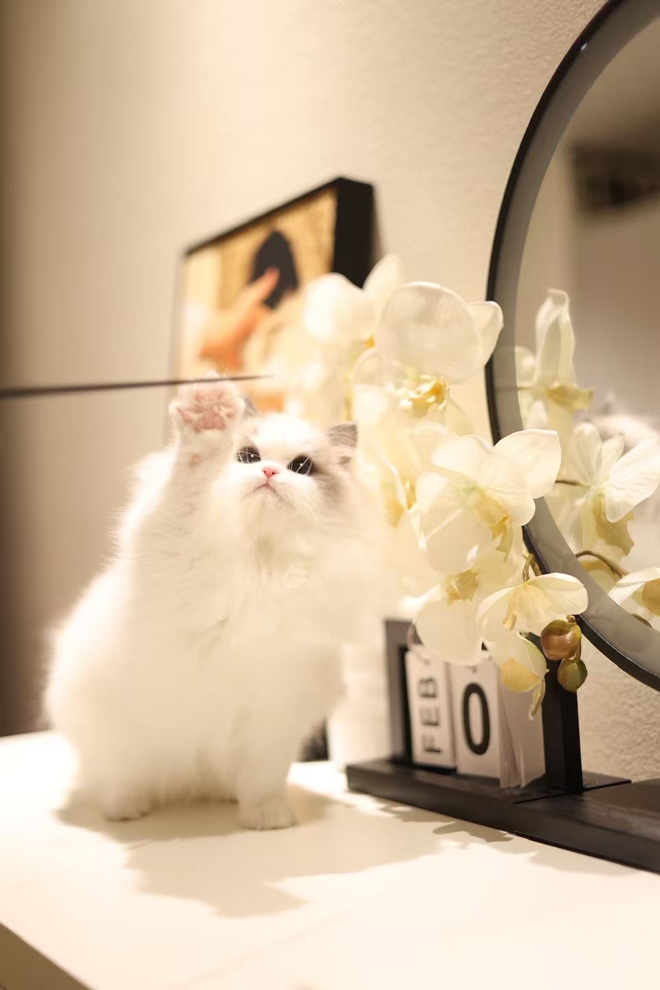 小不点儿