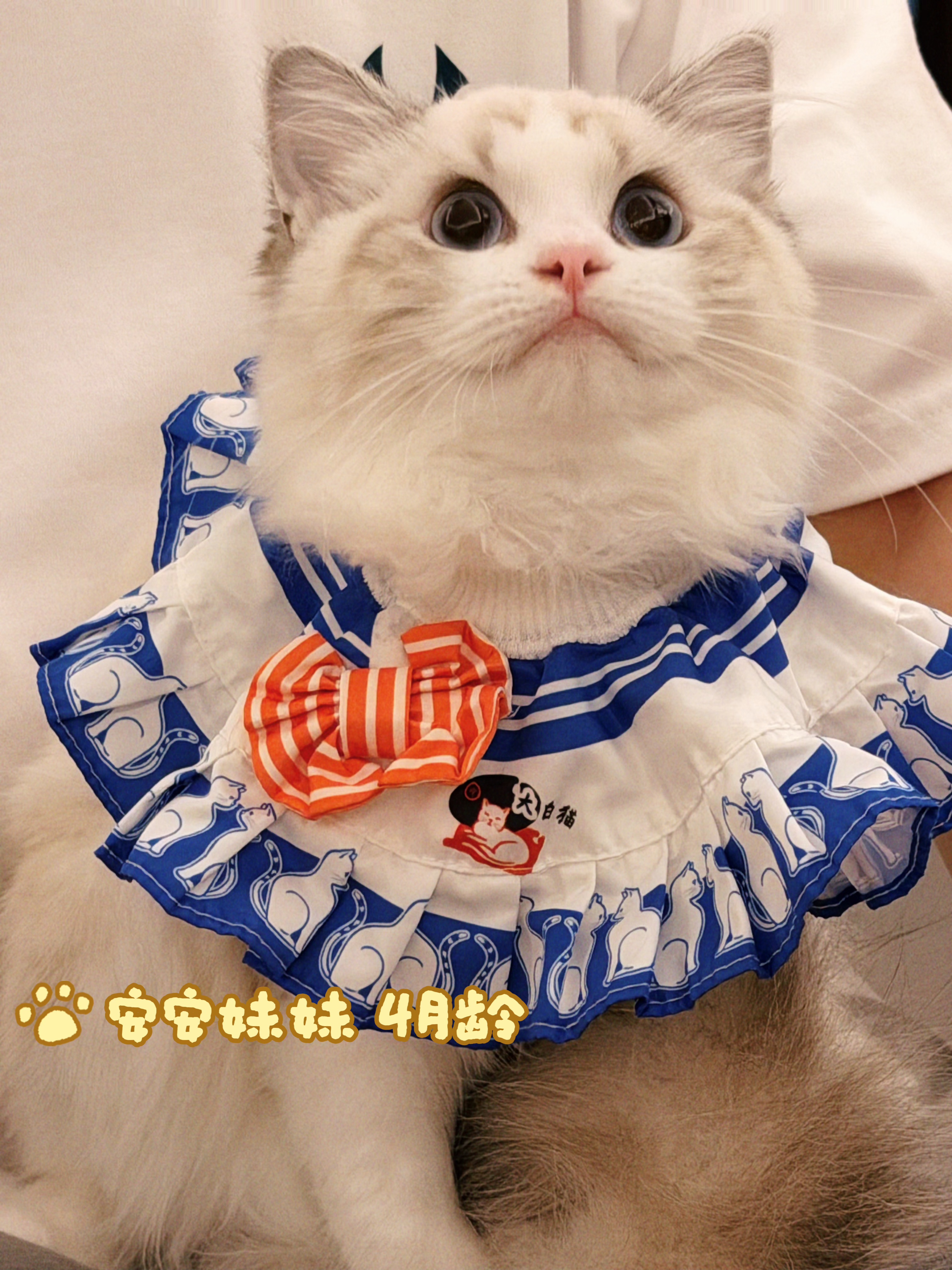 安安