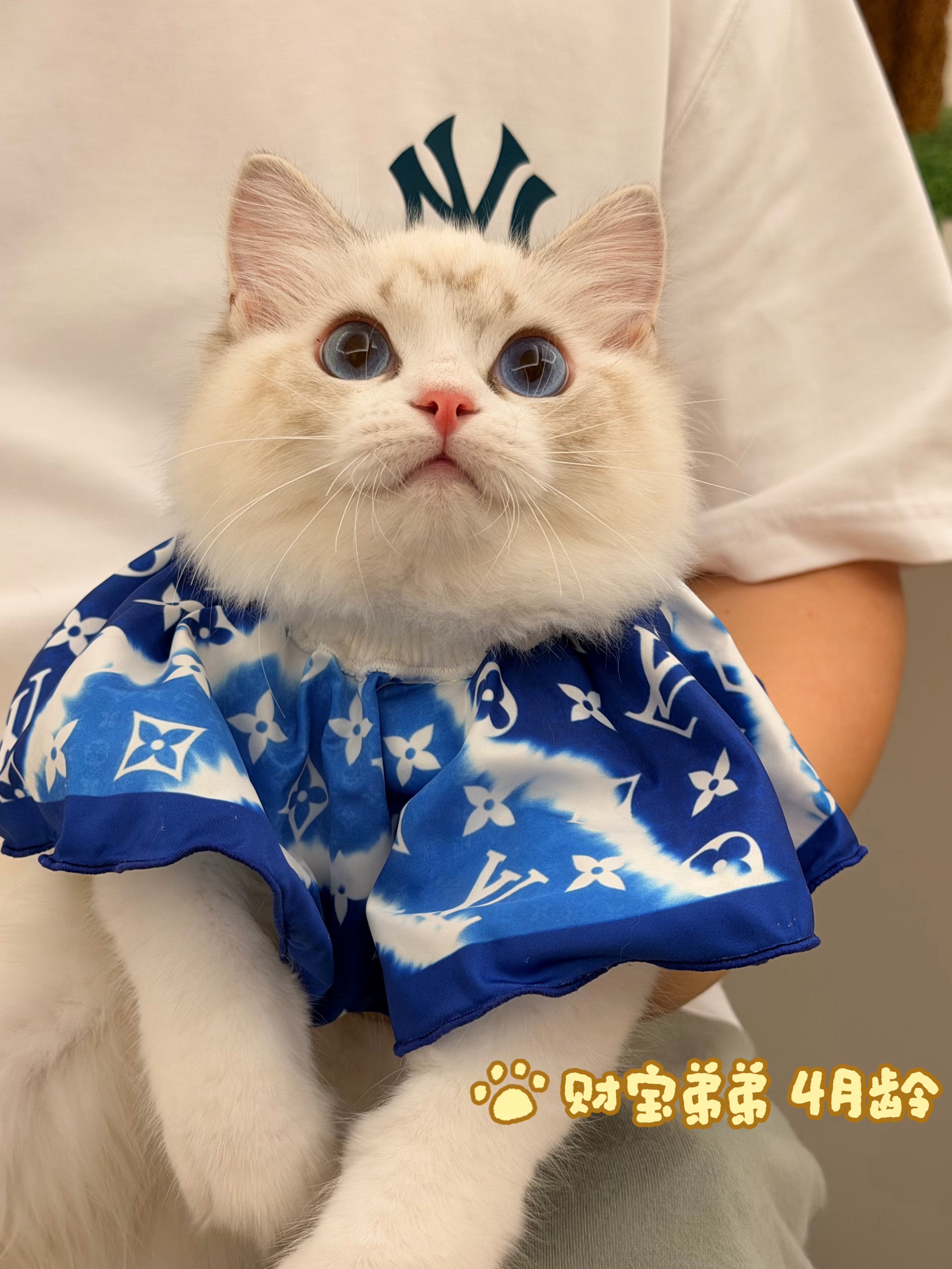 财宝 2