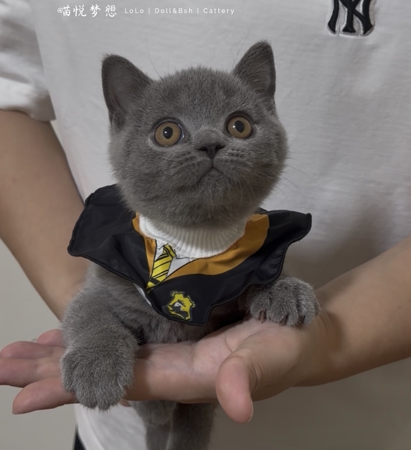 咪宝