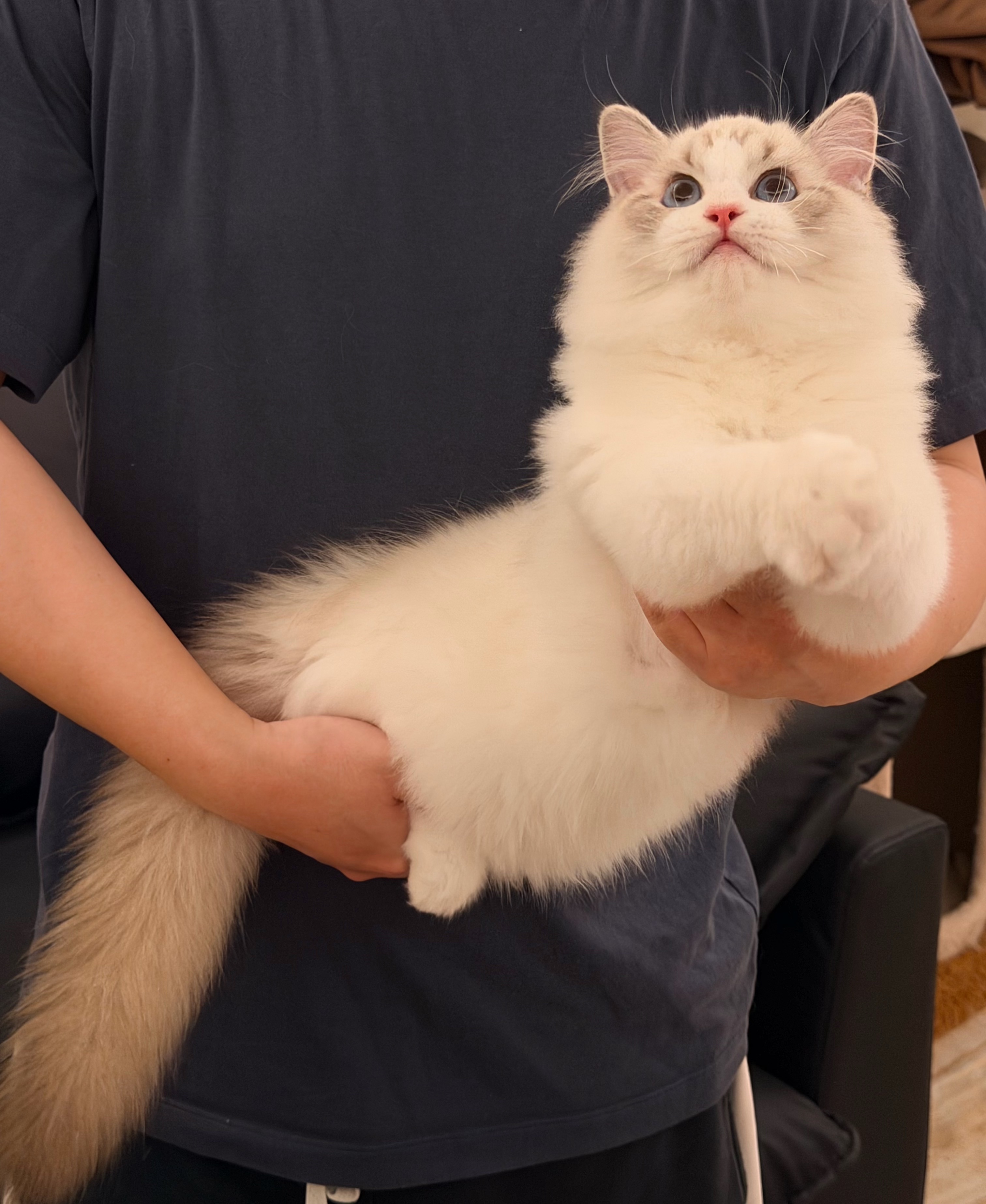 松仁 2
