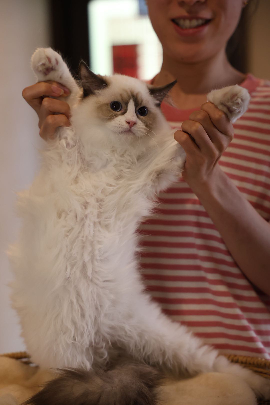 念念 3