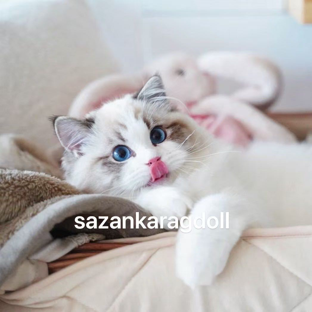 KIKI