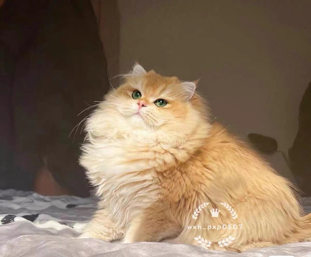 太阳