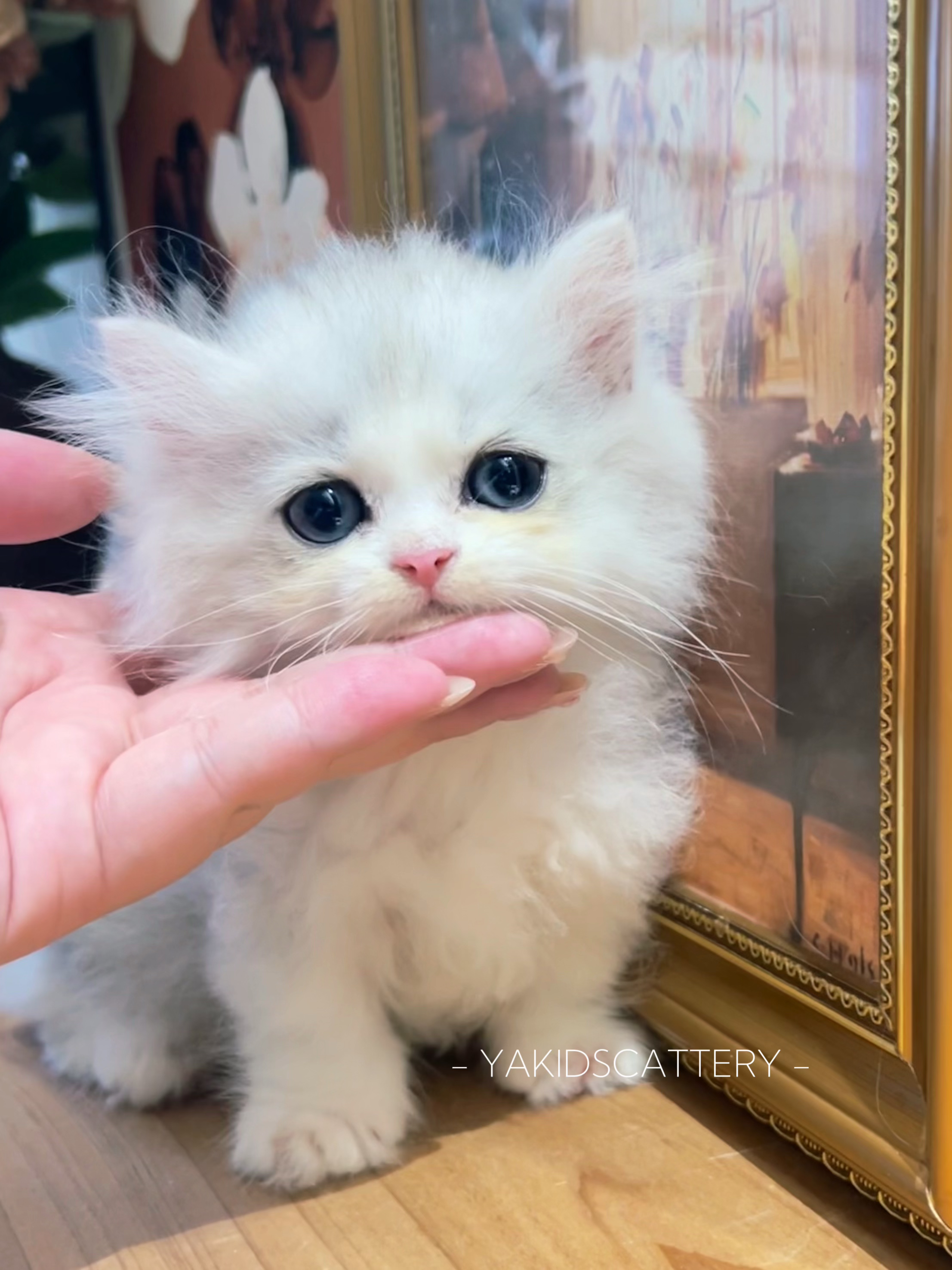 旷之 照片 2