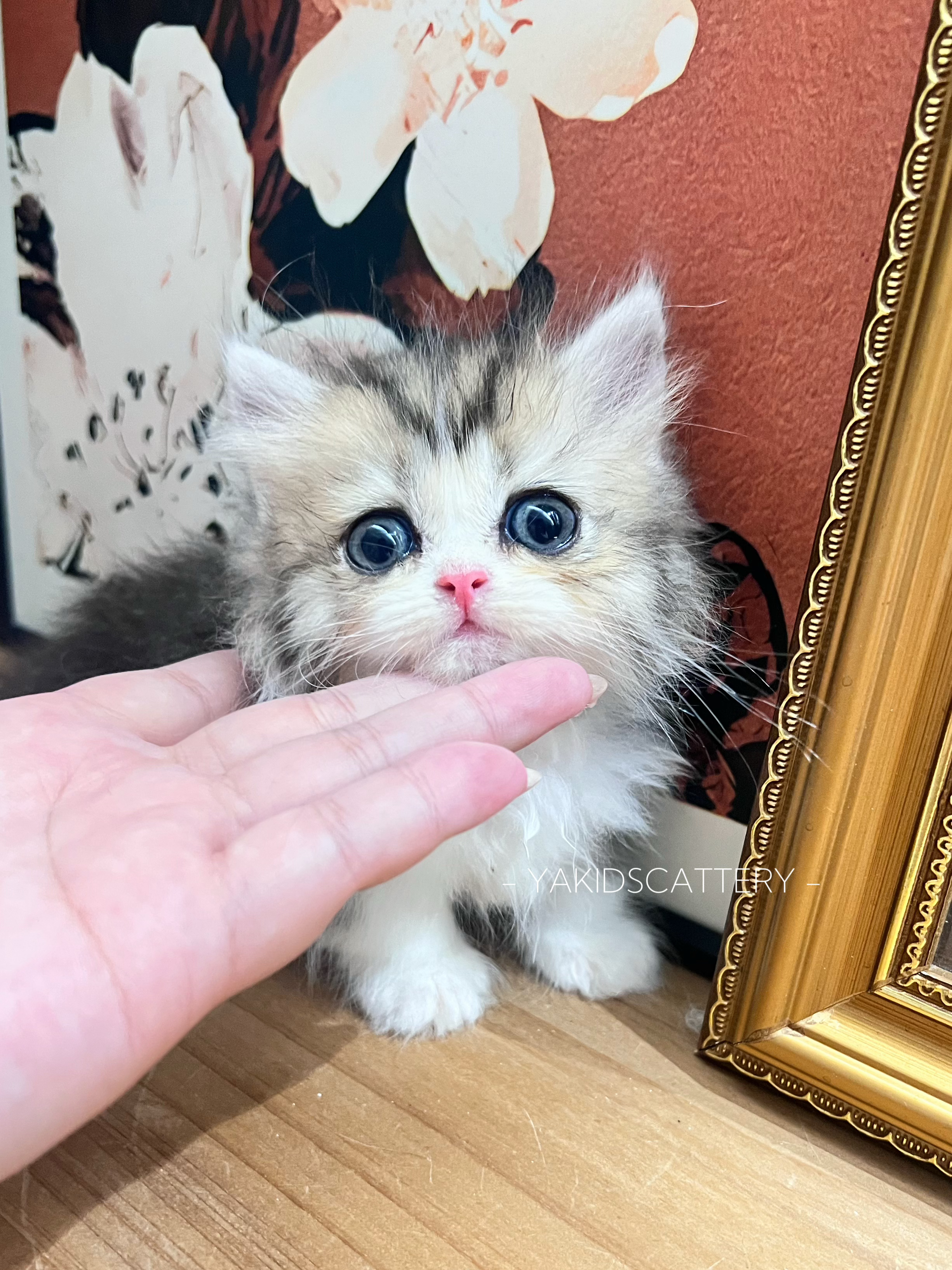 奇迹