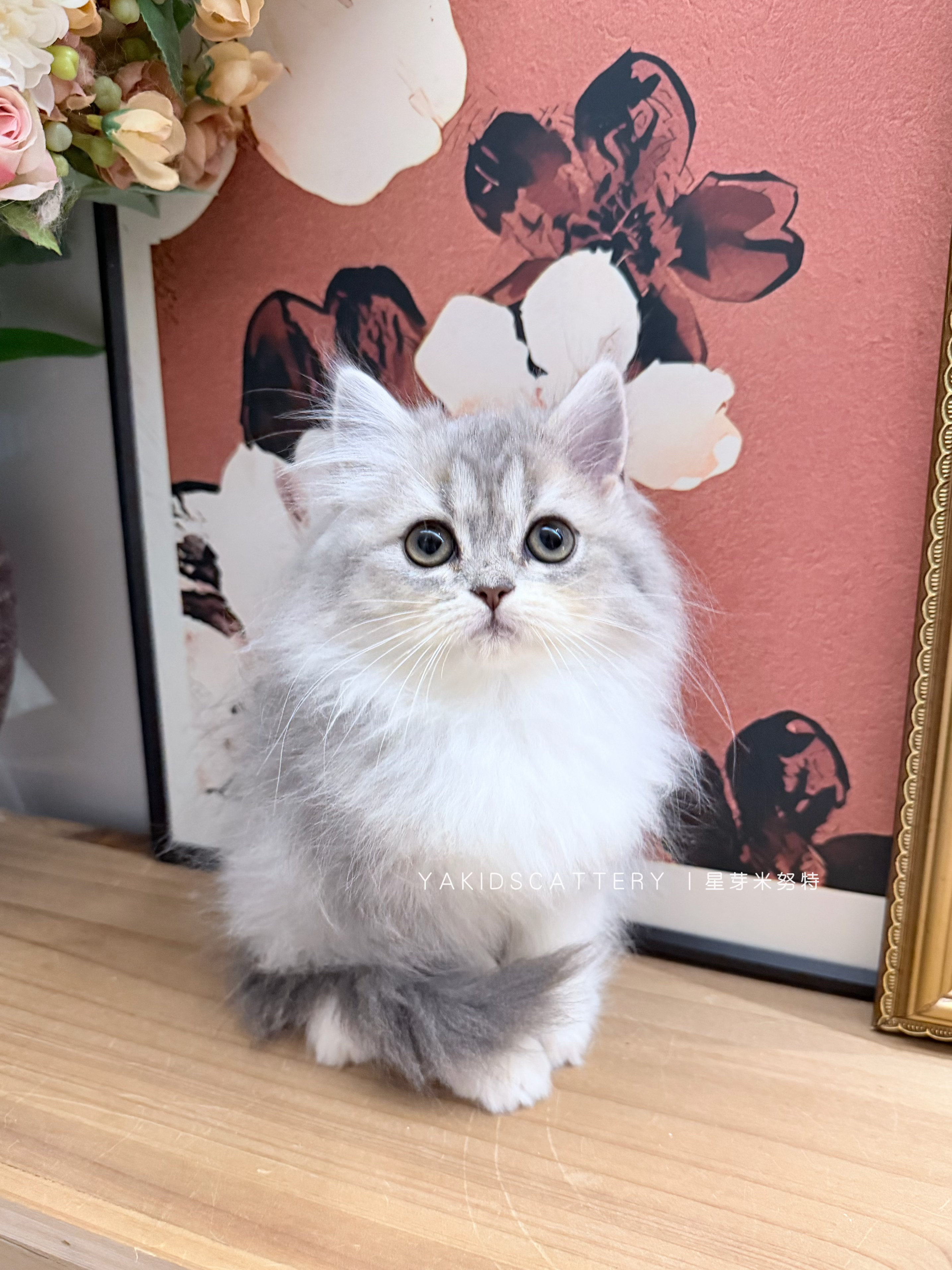 幽兰 照片 4