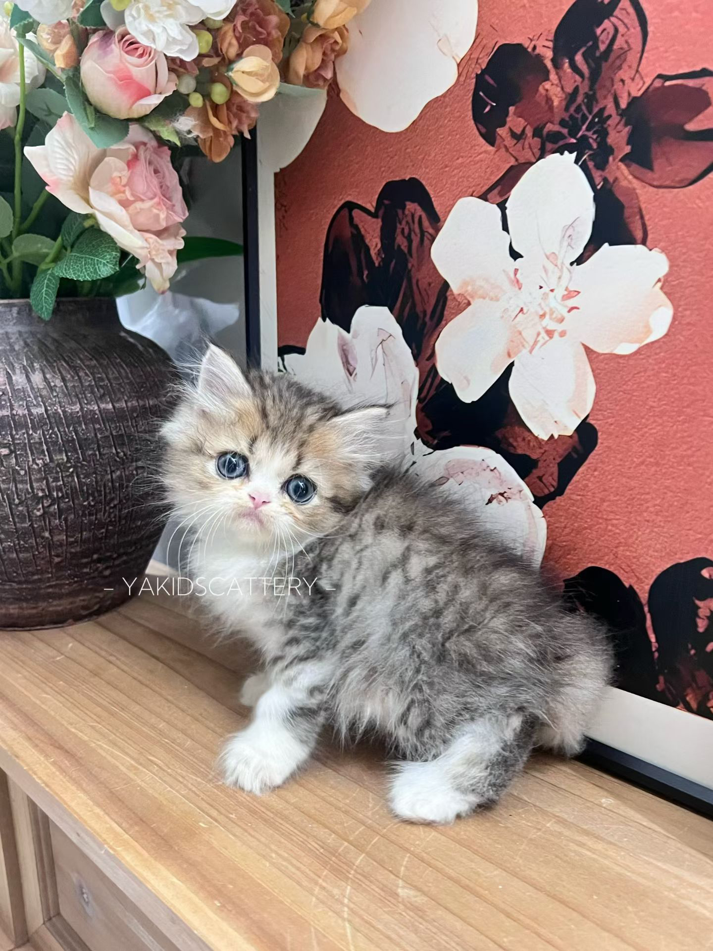 景烁 9