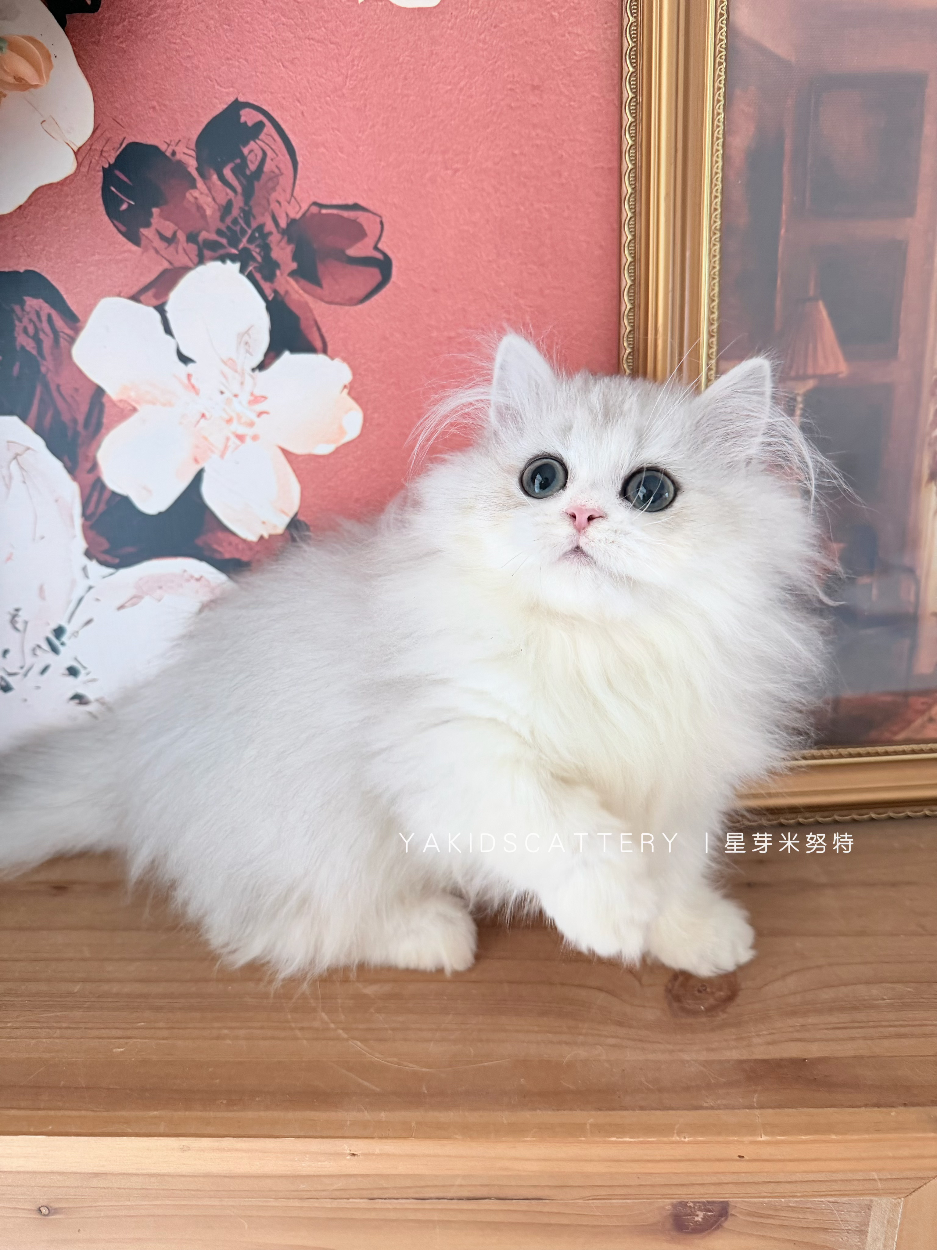 旷之 4