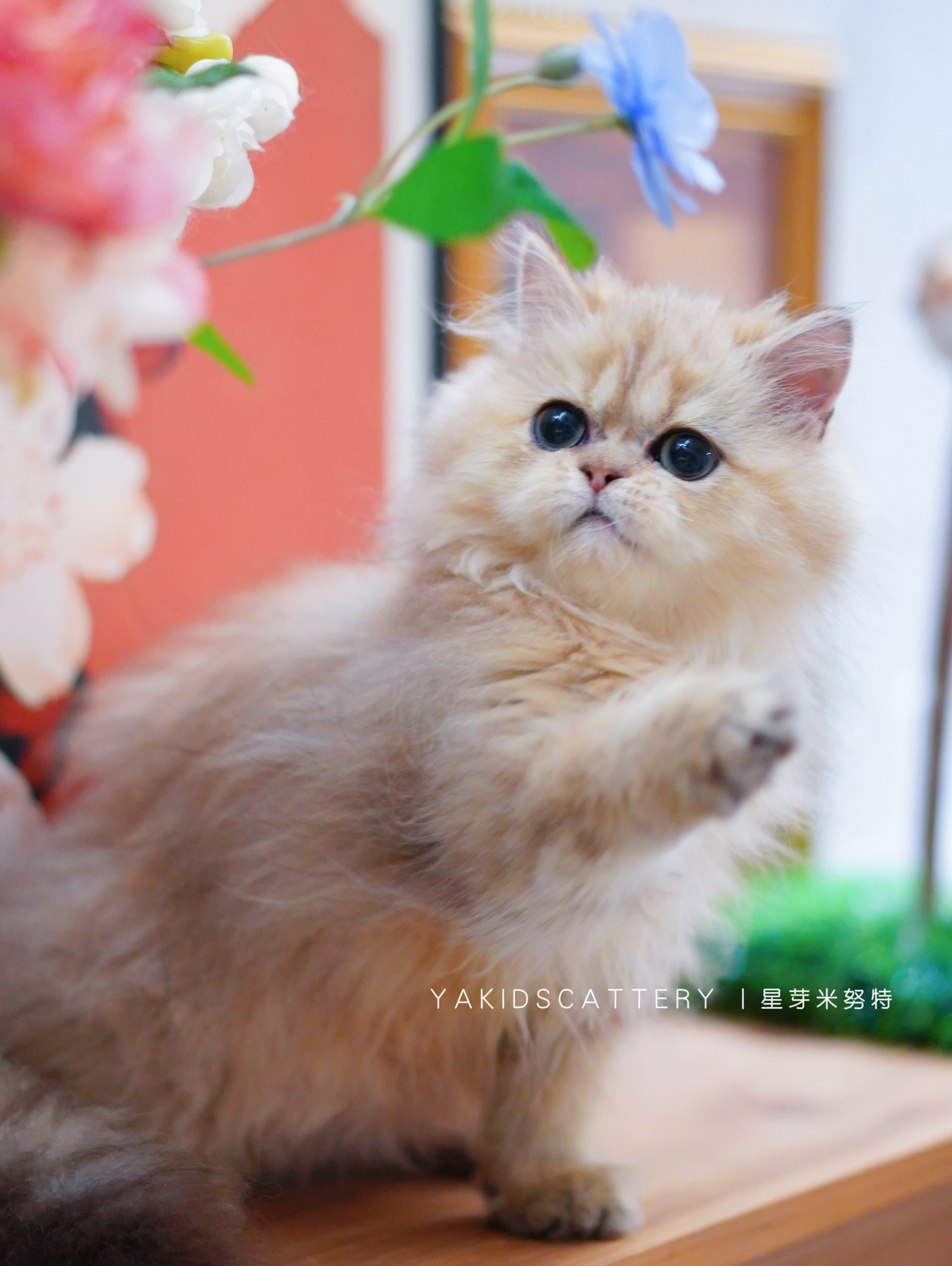 金曜 7