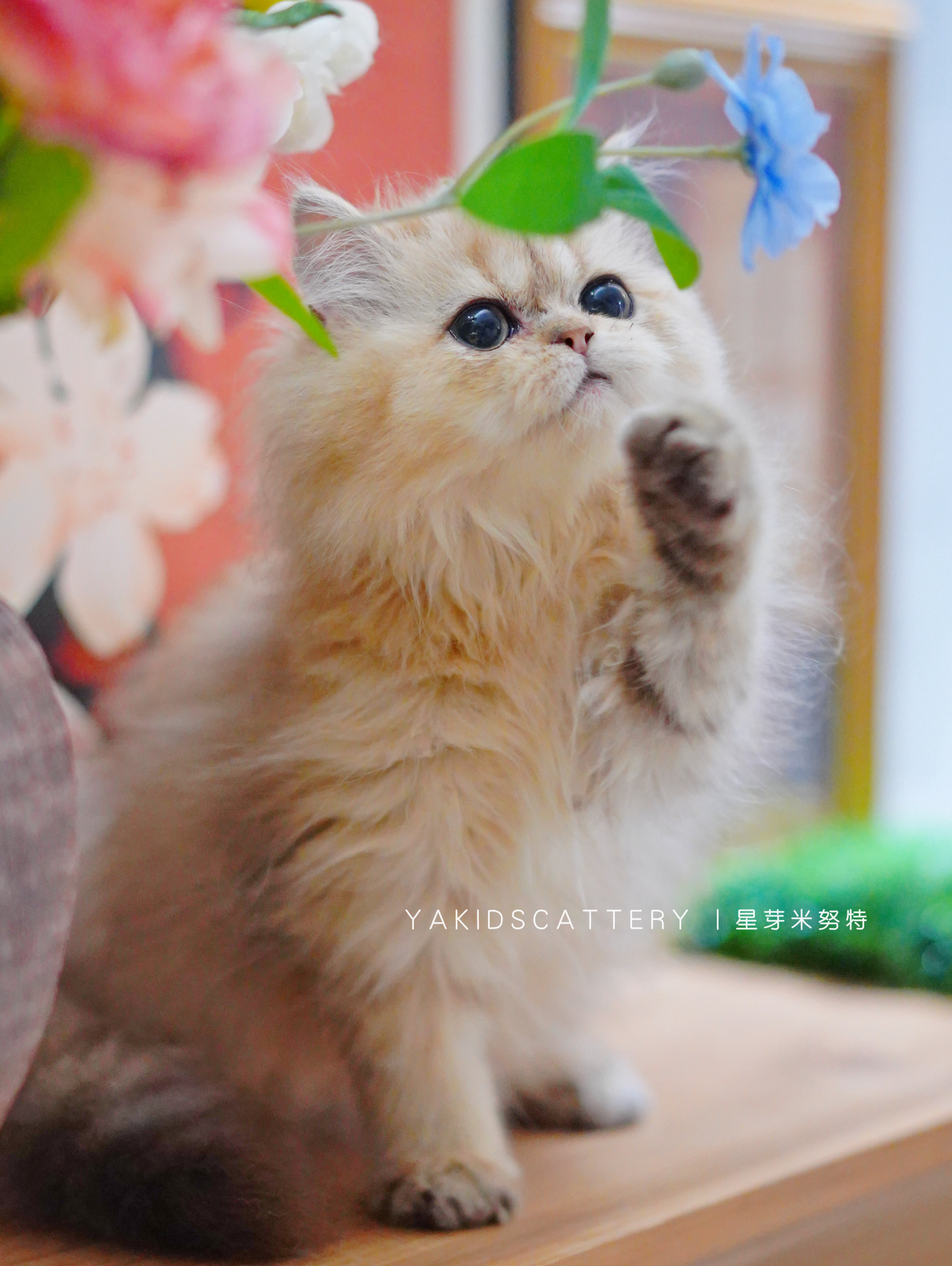 金曜 8