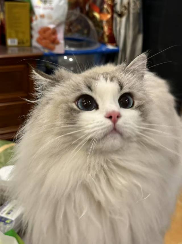 薯条