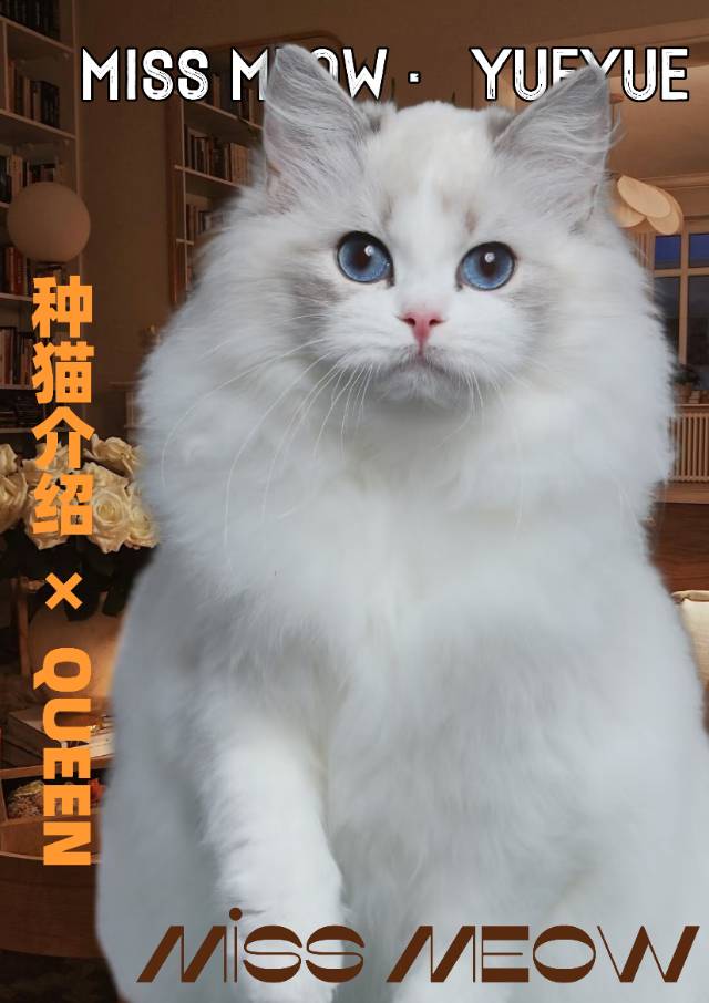 玥玥｜YUE