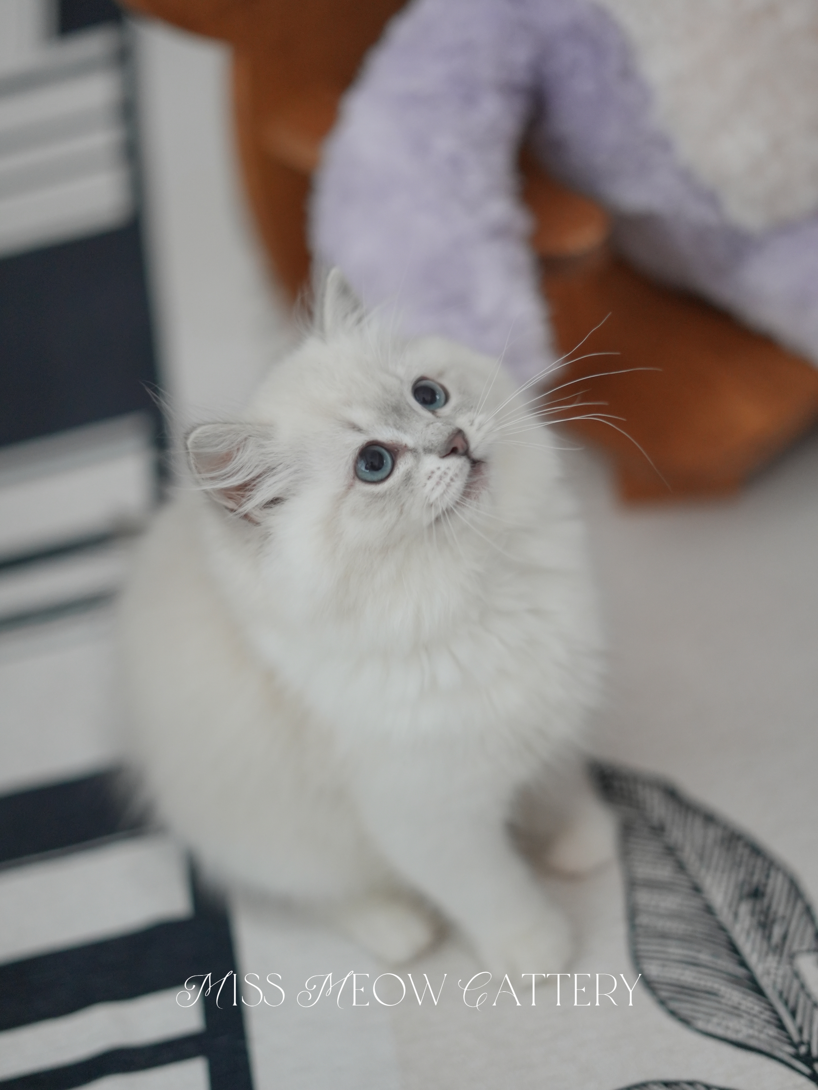 羽棠｜Aviana 照片 3