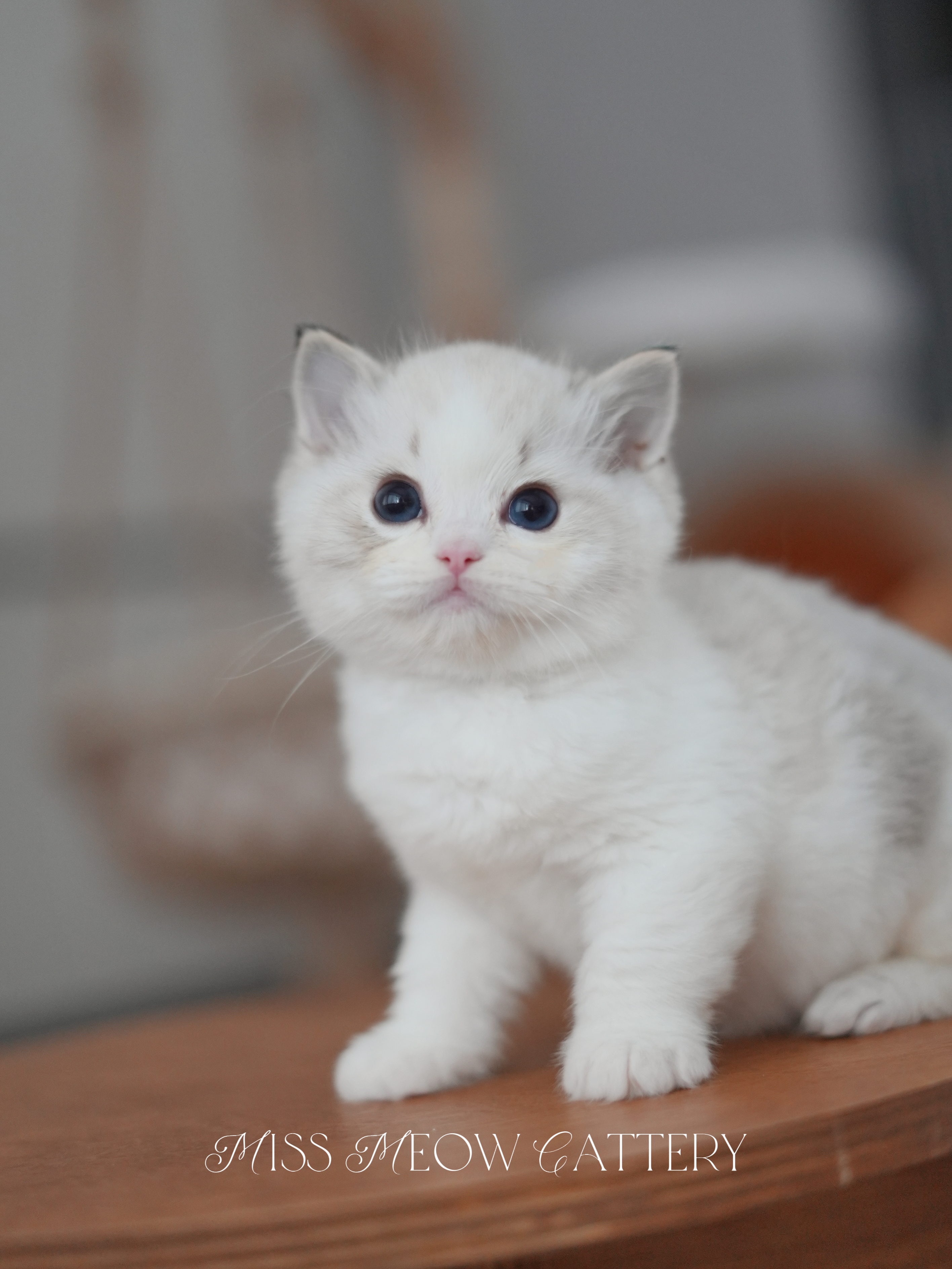 穹晖｜Helios 照片 2