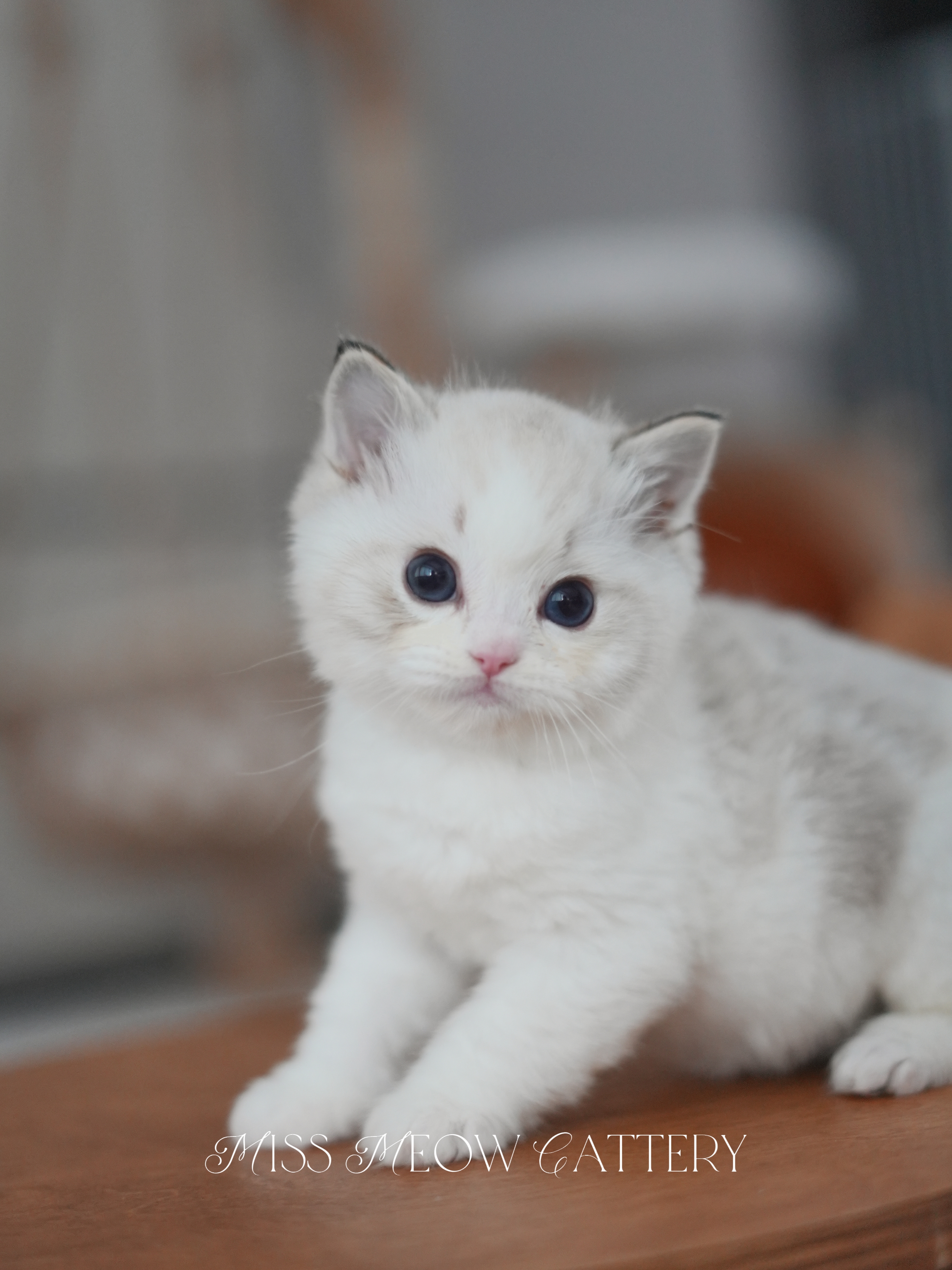 穹晖｜Helios 照片 4