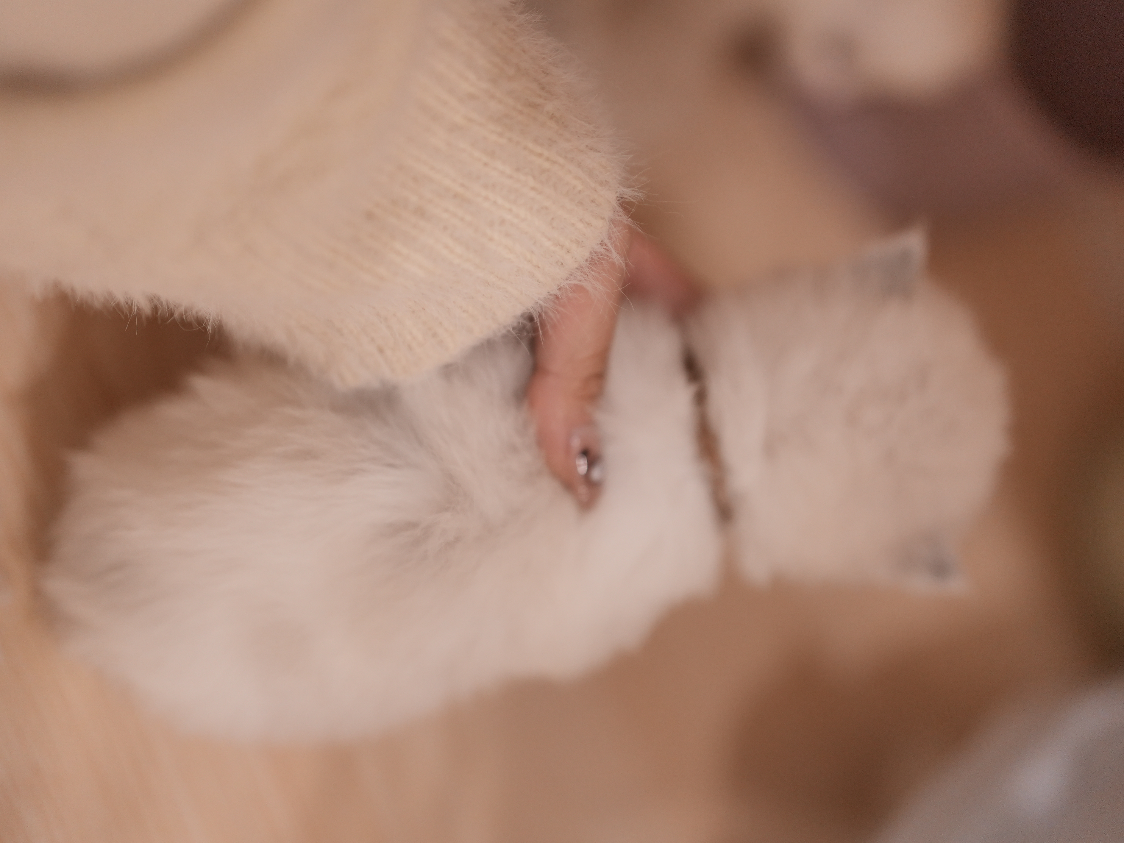 🐻夜烬｜Ash