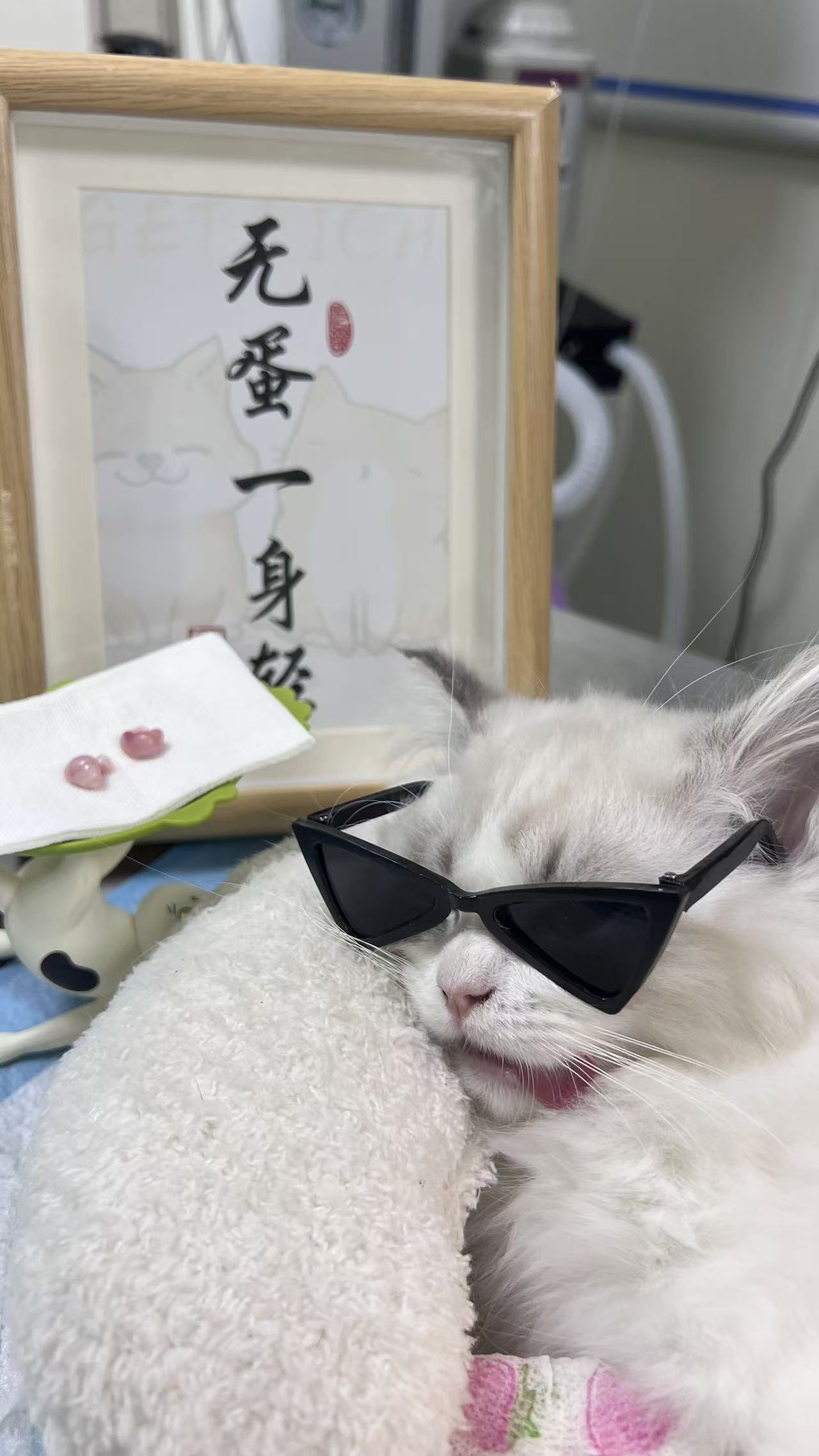 商羽｜Lydian