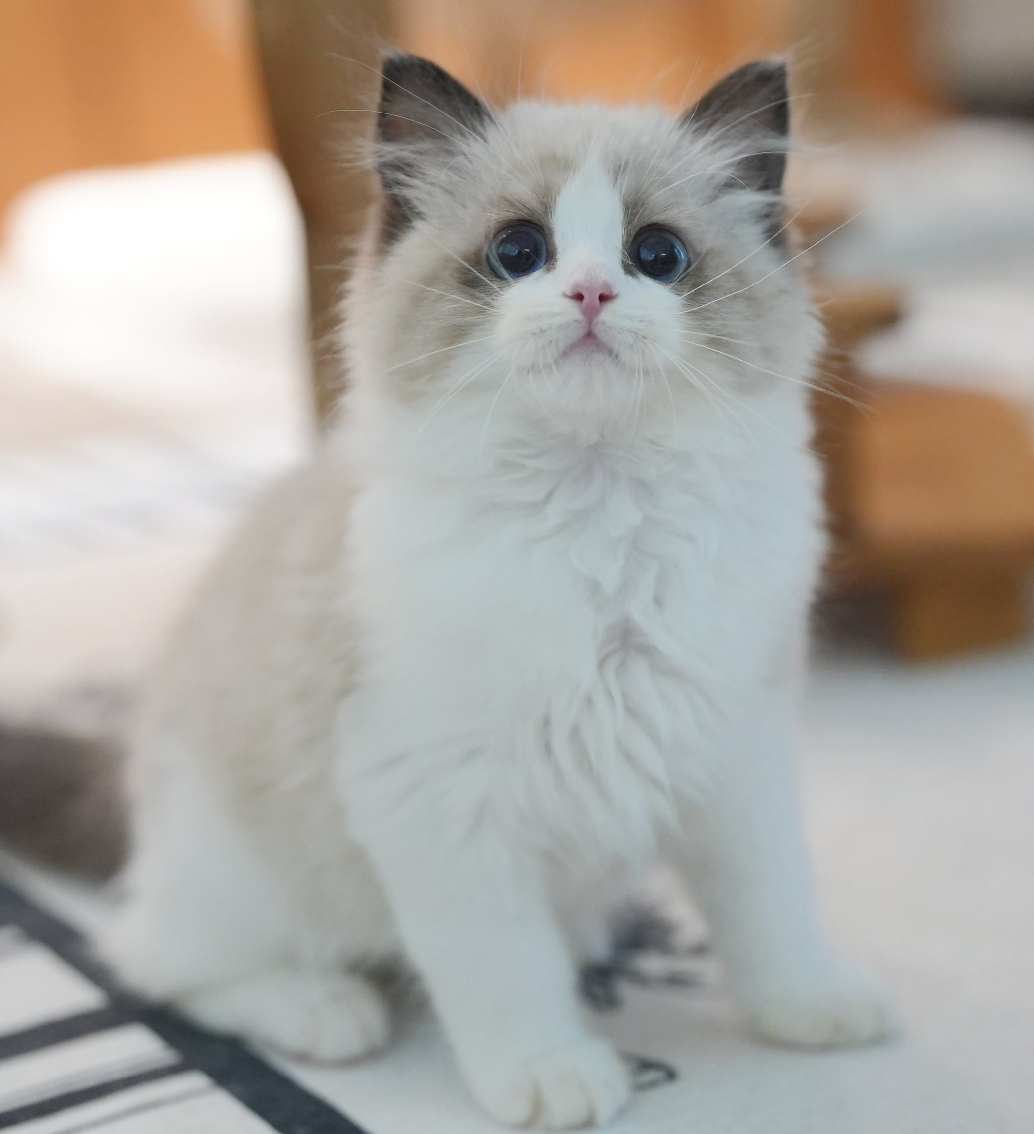 LUNA