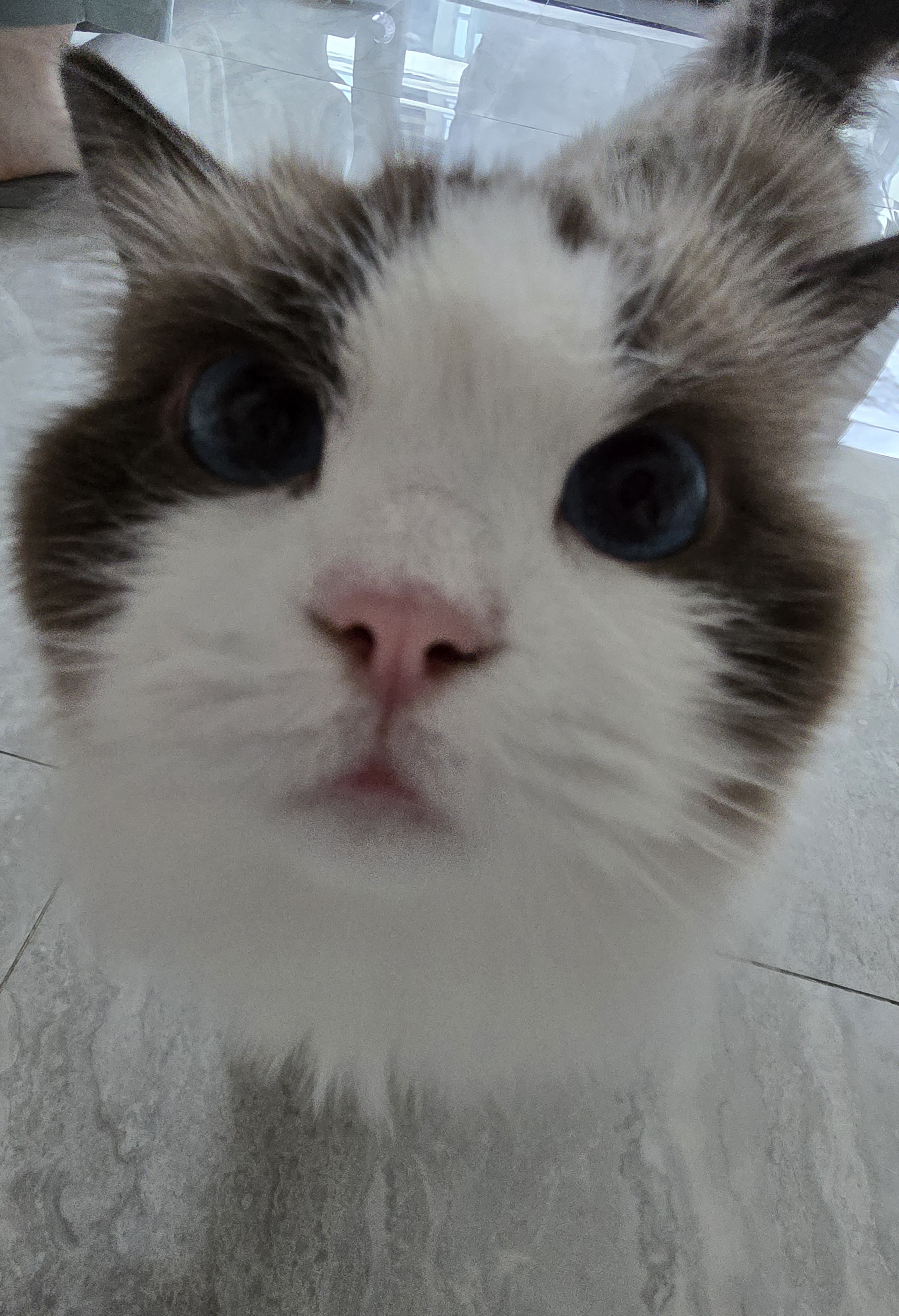 现照