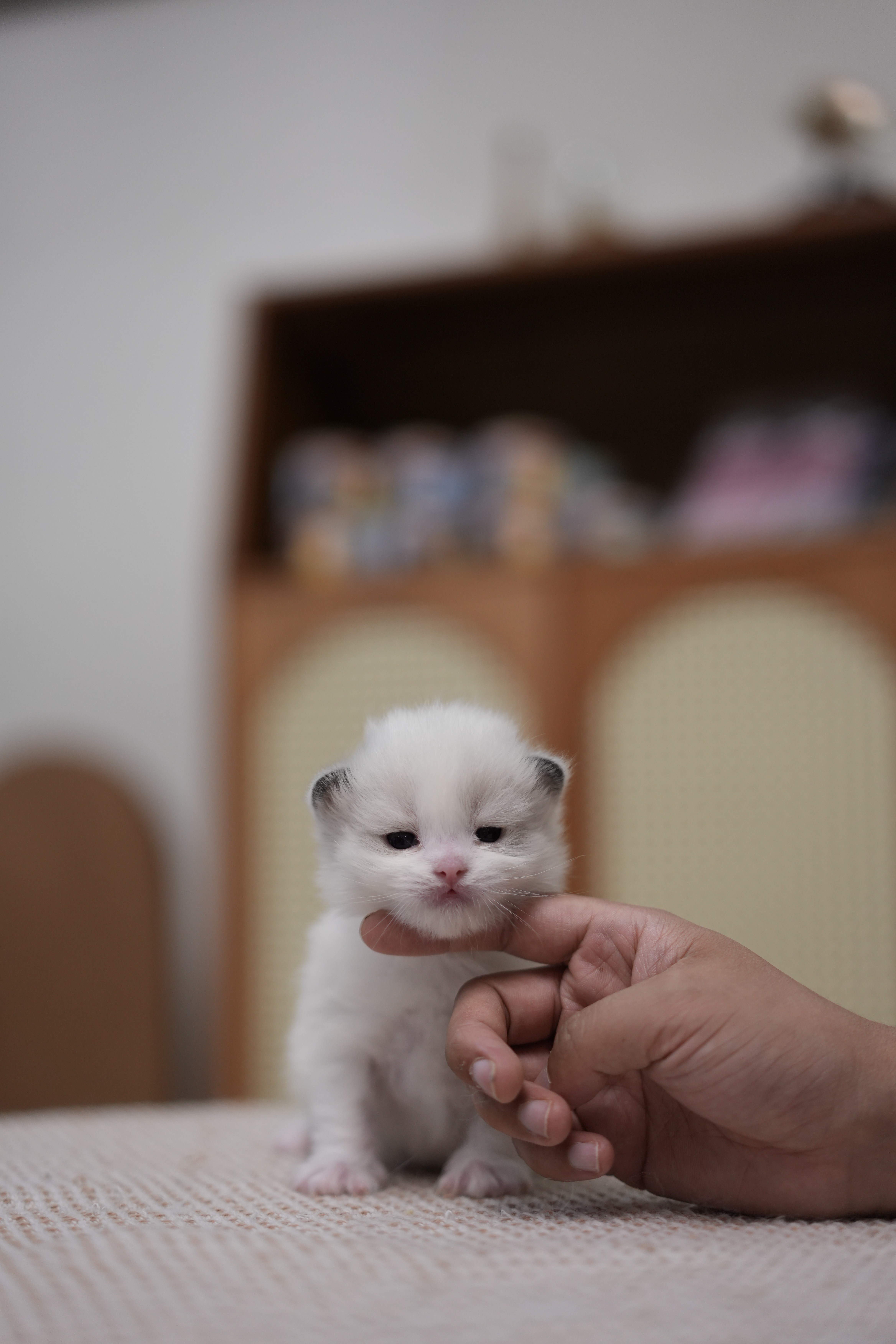 清禾 2