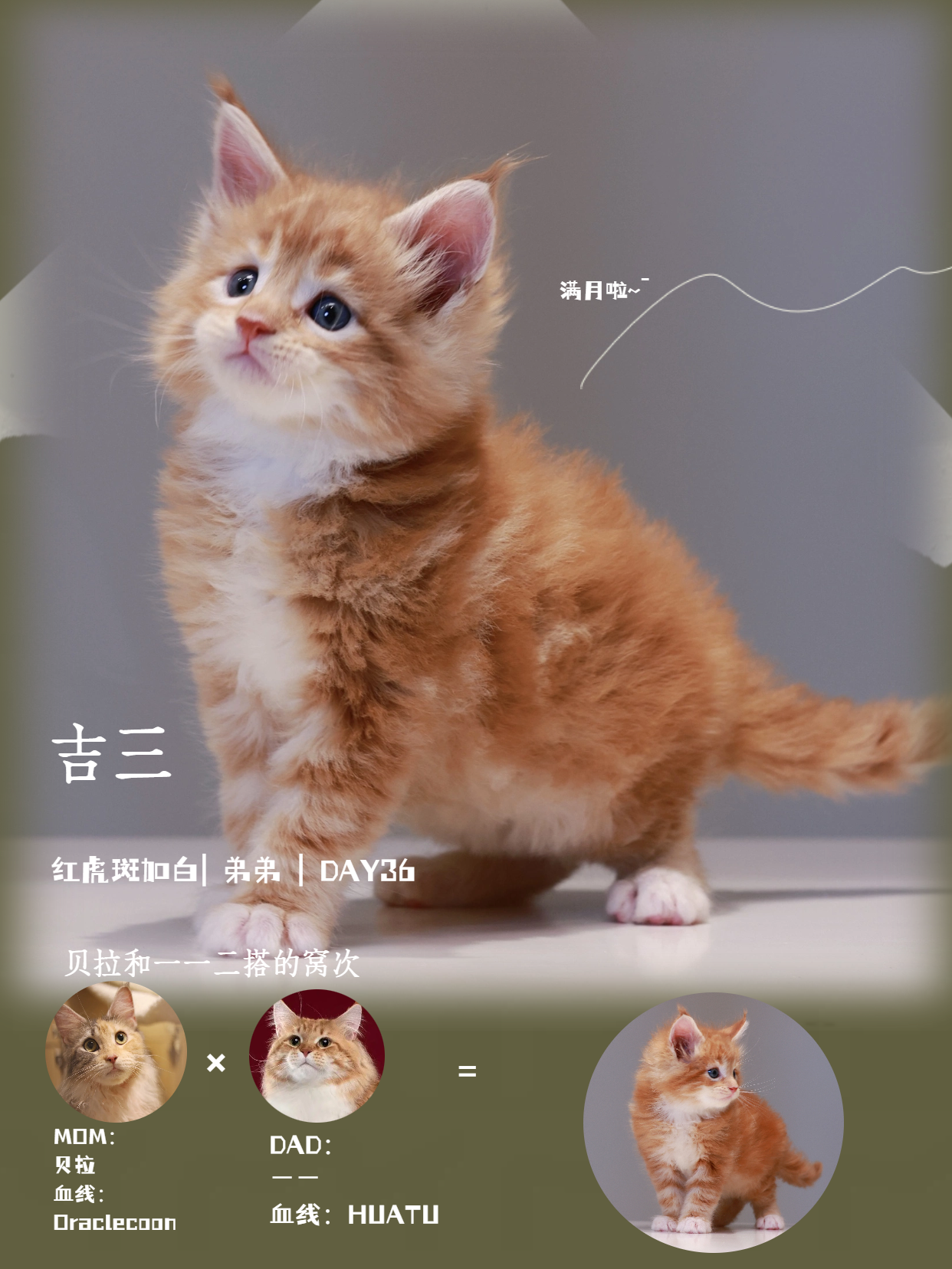 吉三